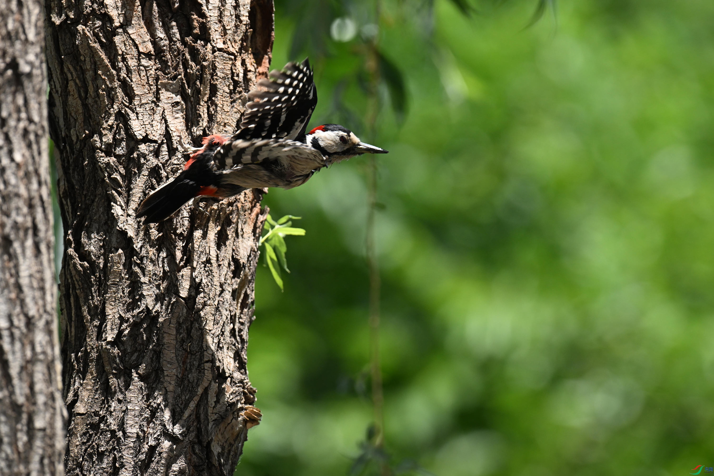 �����ľ�� (5).jpg