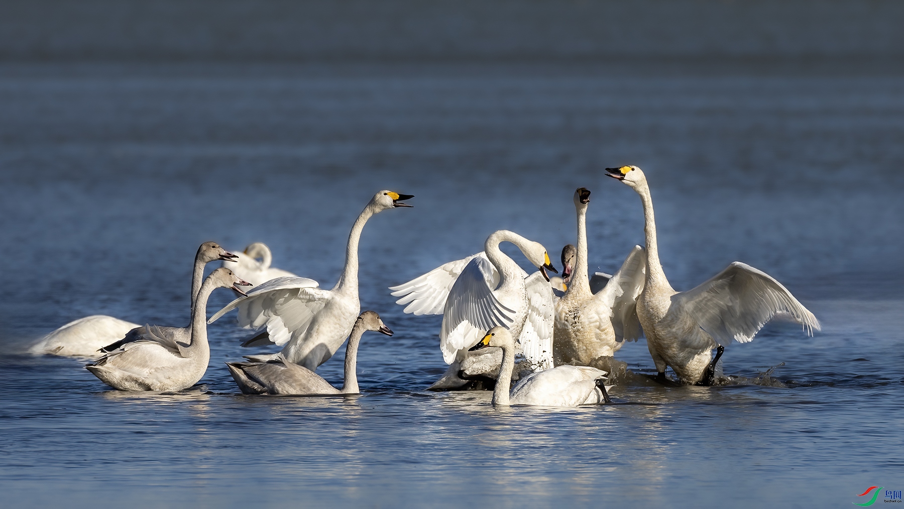 IMG_0001 ����.jpg