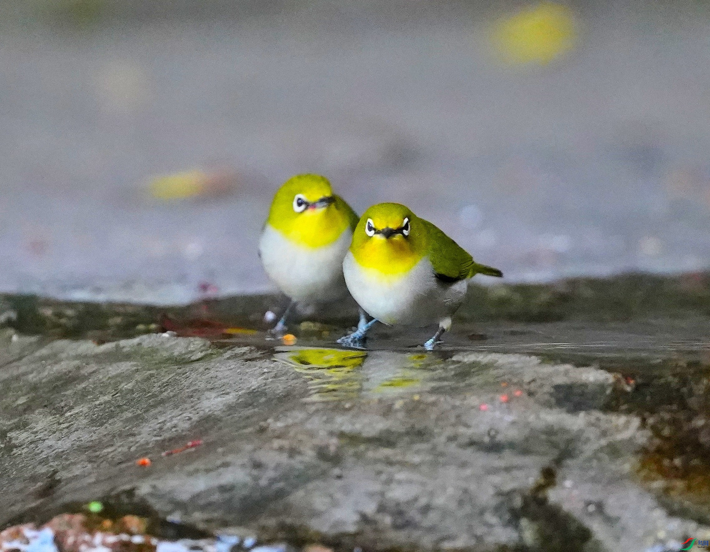 DSC03087.JPG