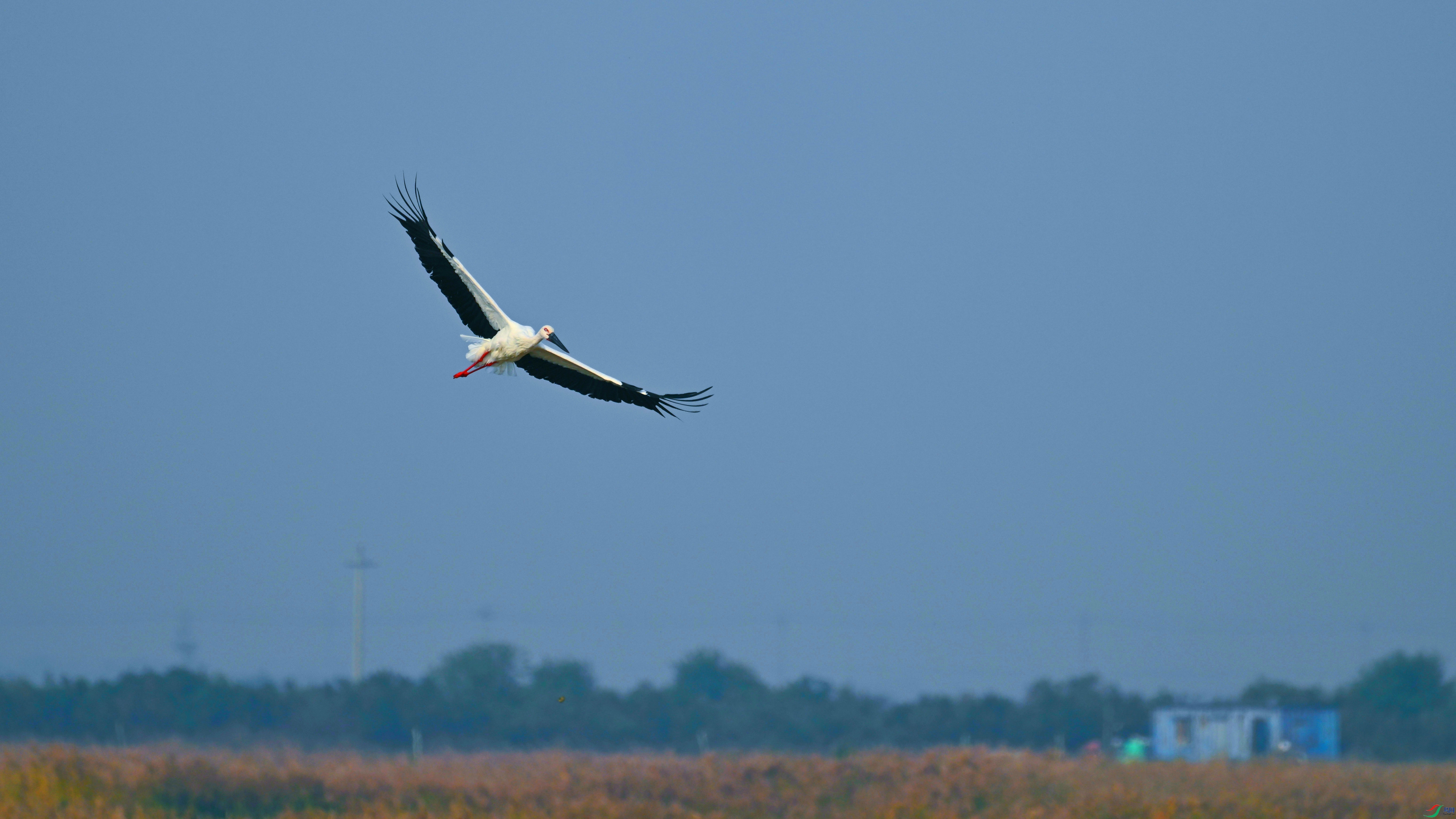 DSC_0036.JPG