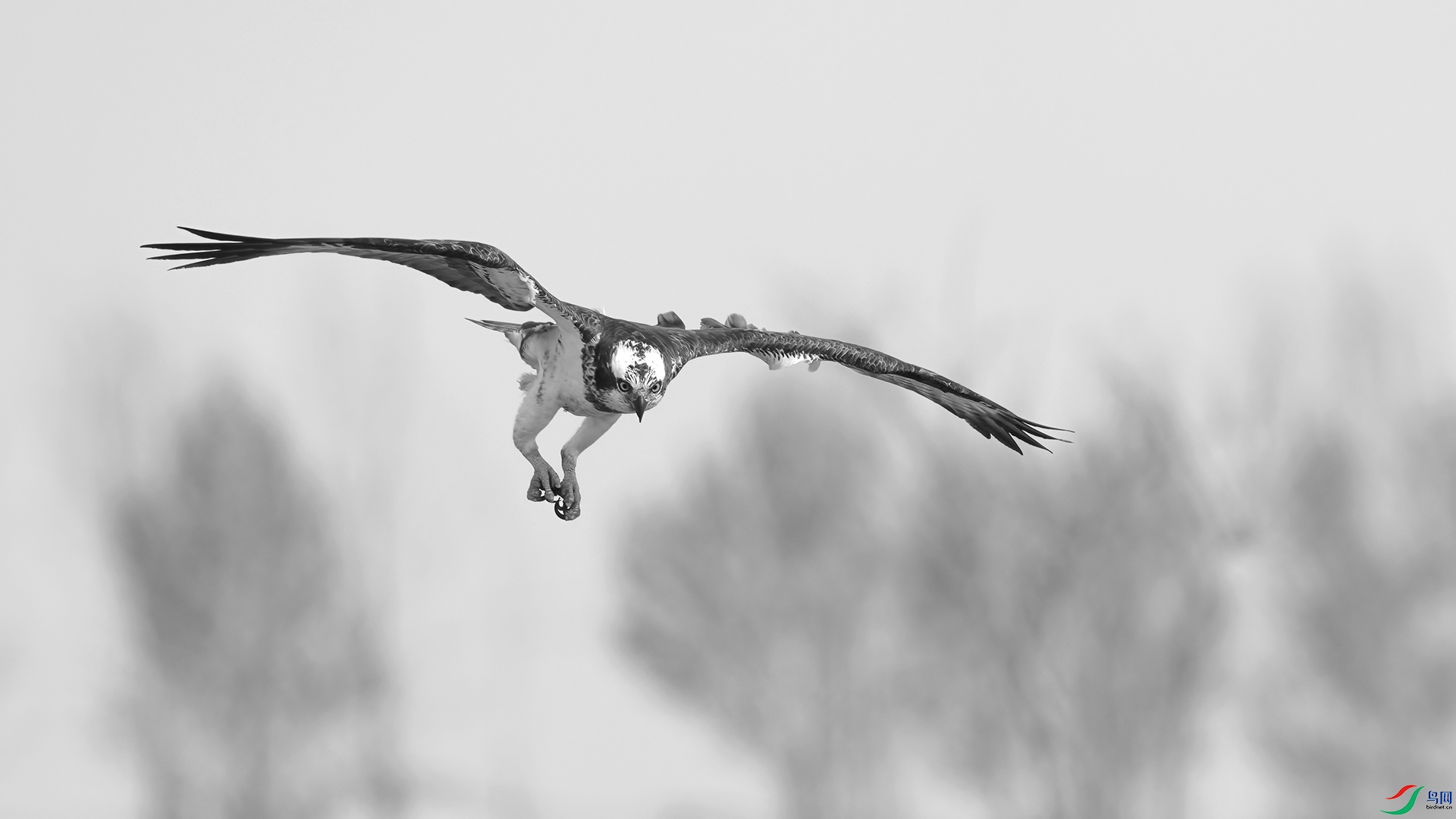 _DSC7040 ����.jpg