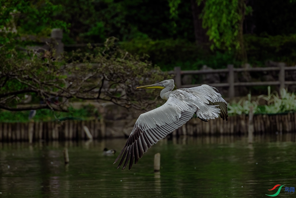 DSC_7077.jpg