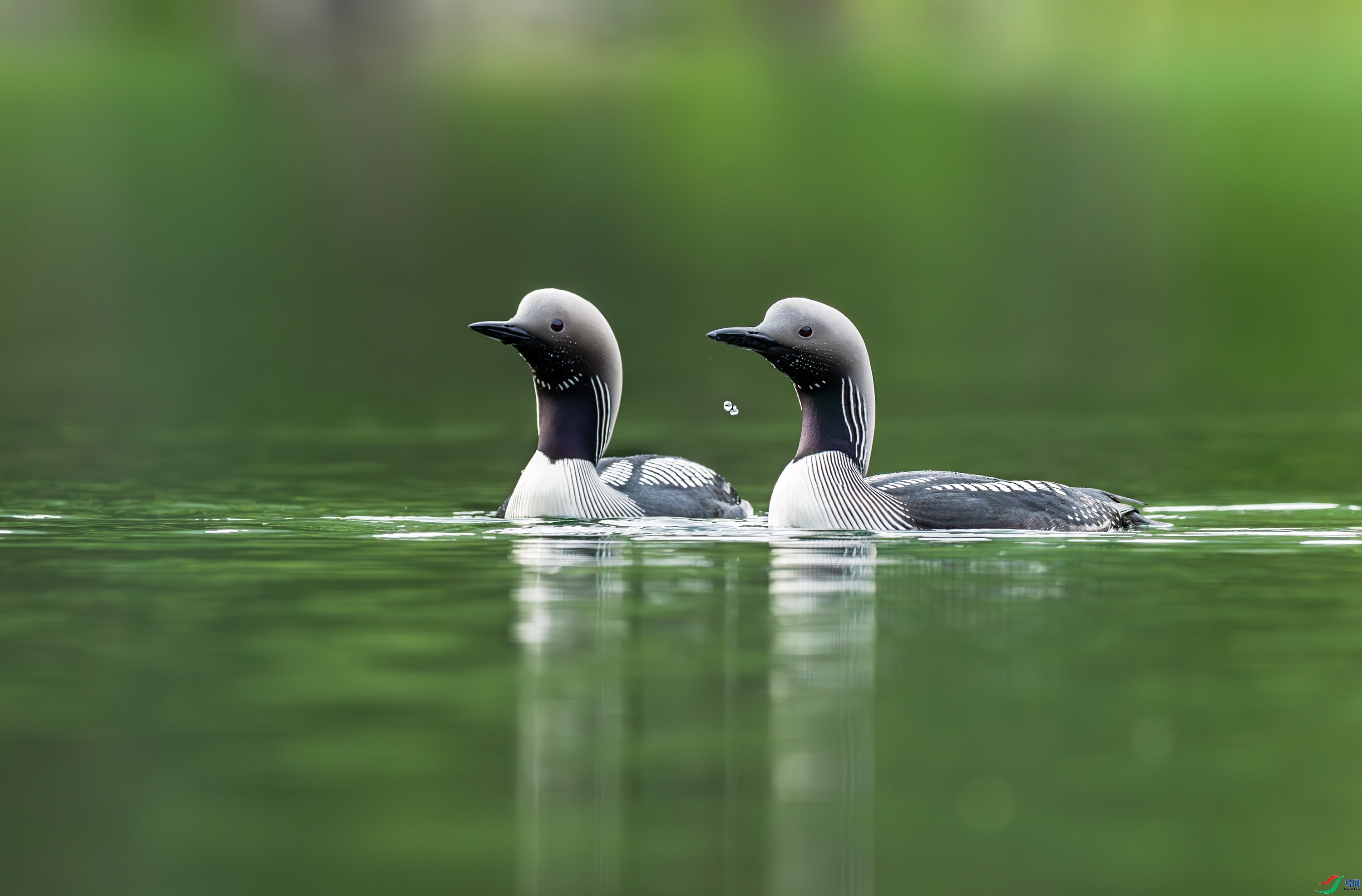 10.28���789��ʦ��Ʒ   �̲����� ��ף���ٻ�ÿ�ռ�����.jpg