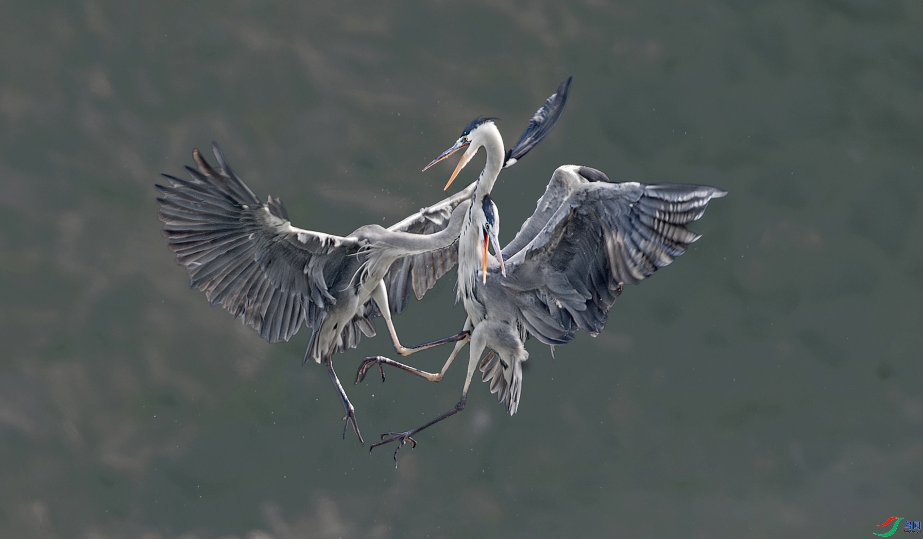 10.29������ʦ��Ʒ   ���� ��ף���ٻ���Ӱʦ������.jpg