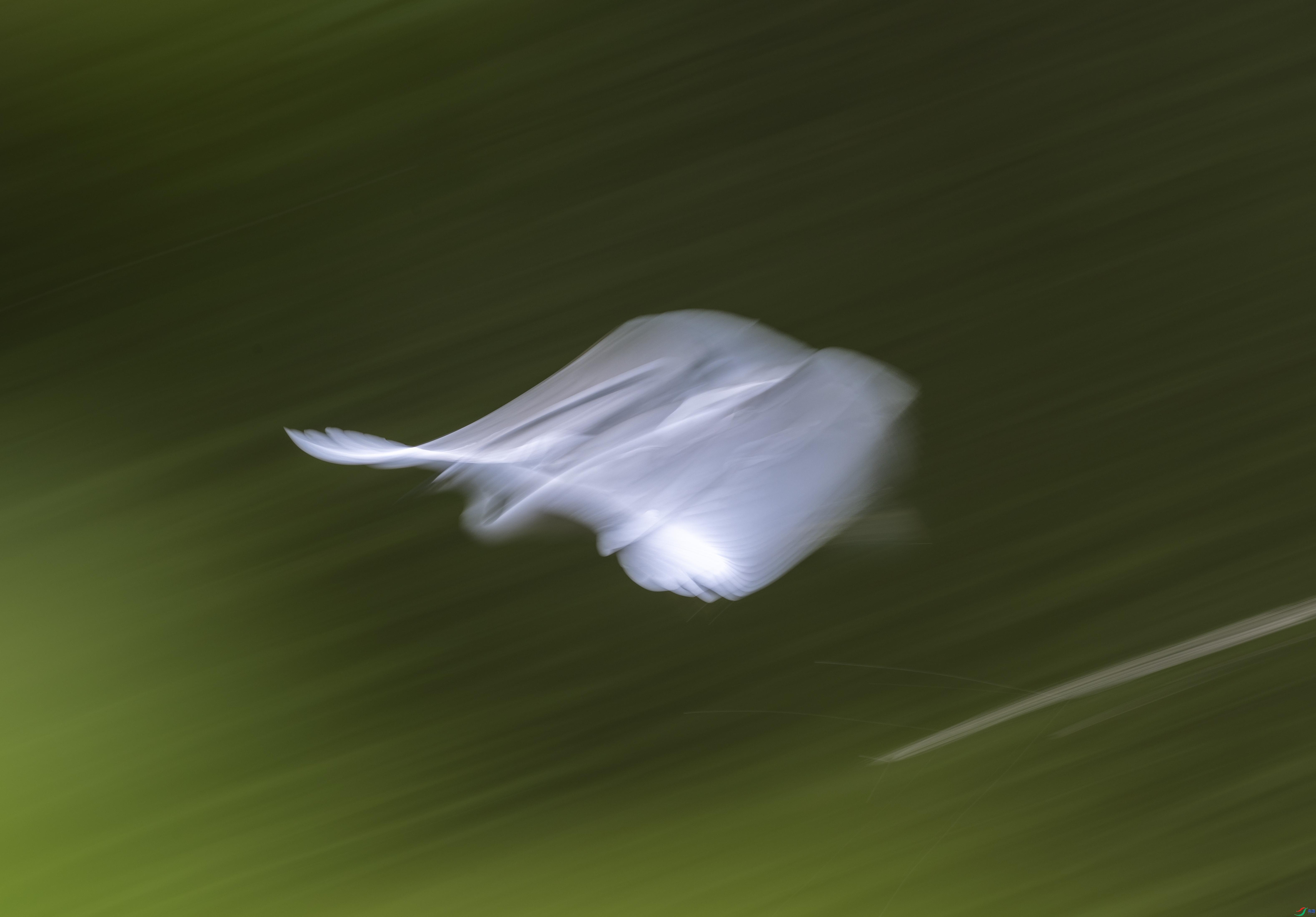 11.01����ң���㶫����ʦ��Ʒ   ��Ӱ���� ��ף���ٻ��Ա������.jpg