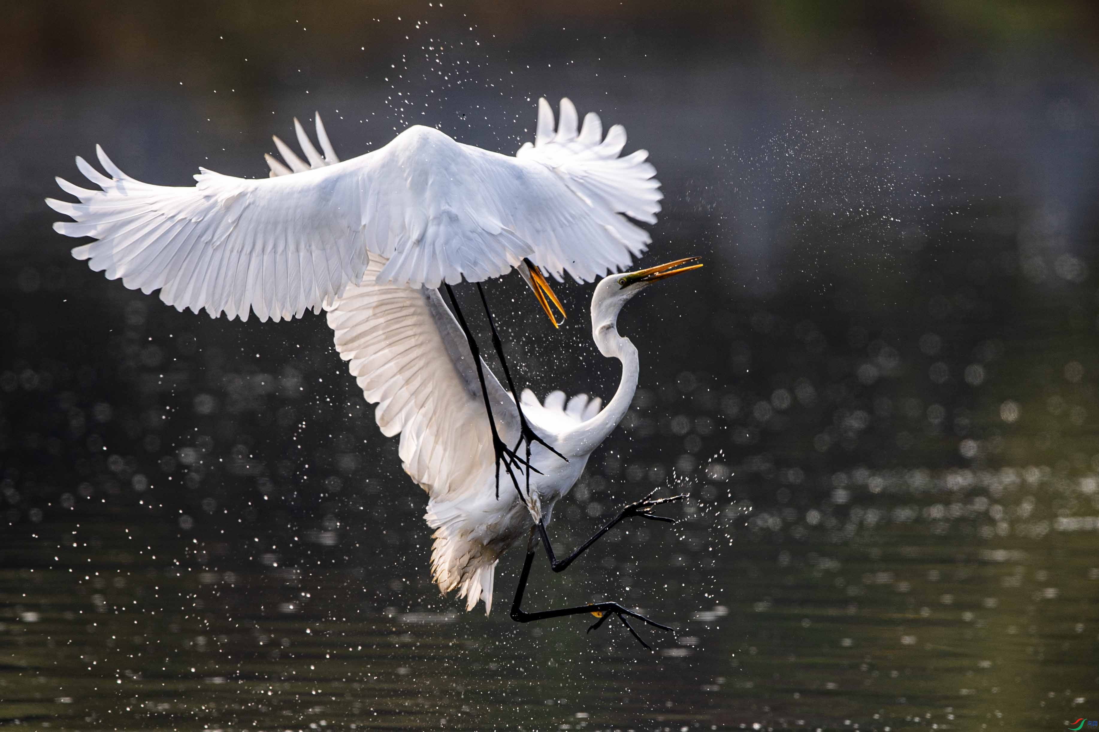 _DSC9588 ����.jpg