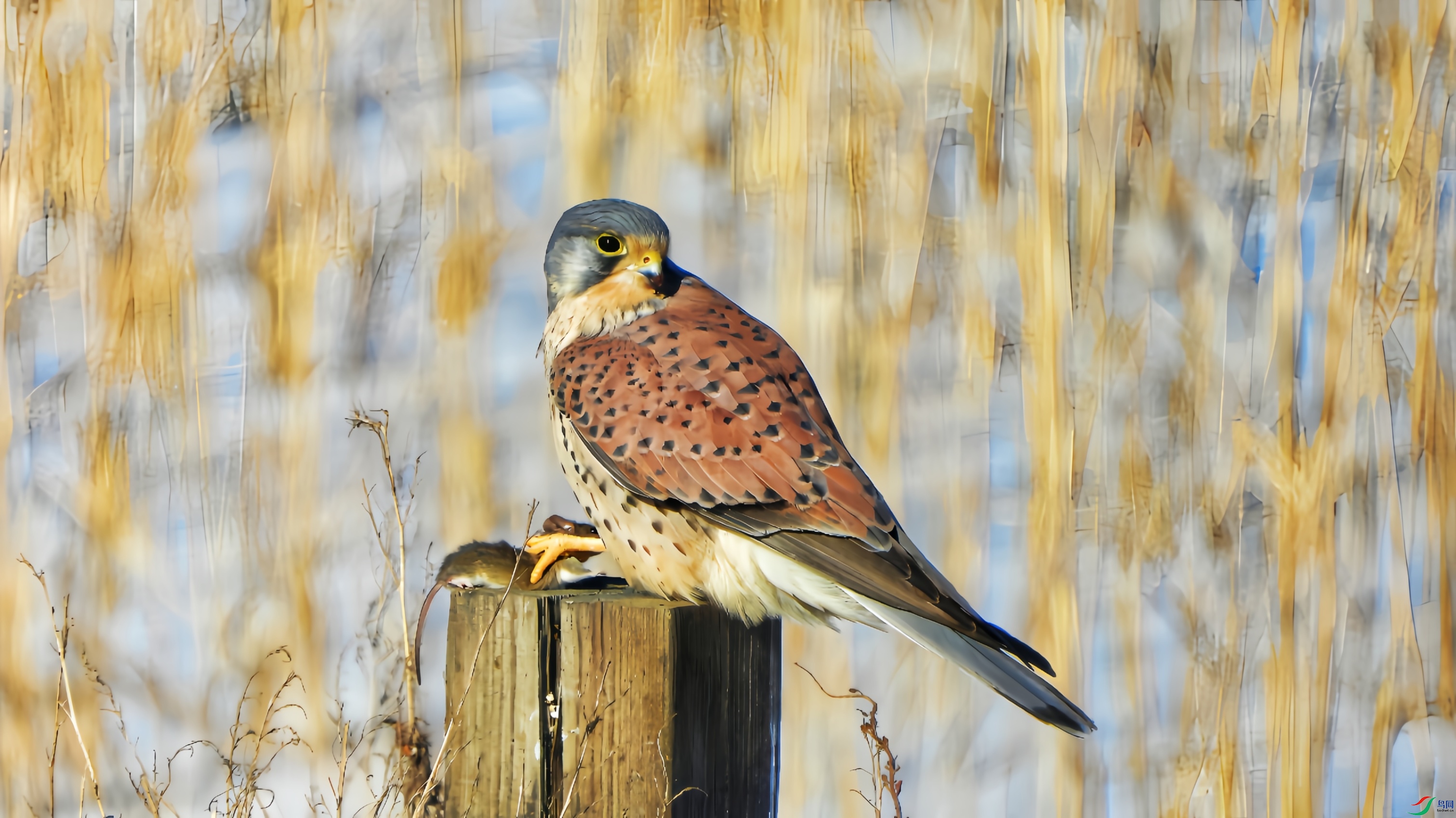 DSCN5894_���� (2)_����.jpg