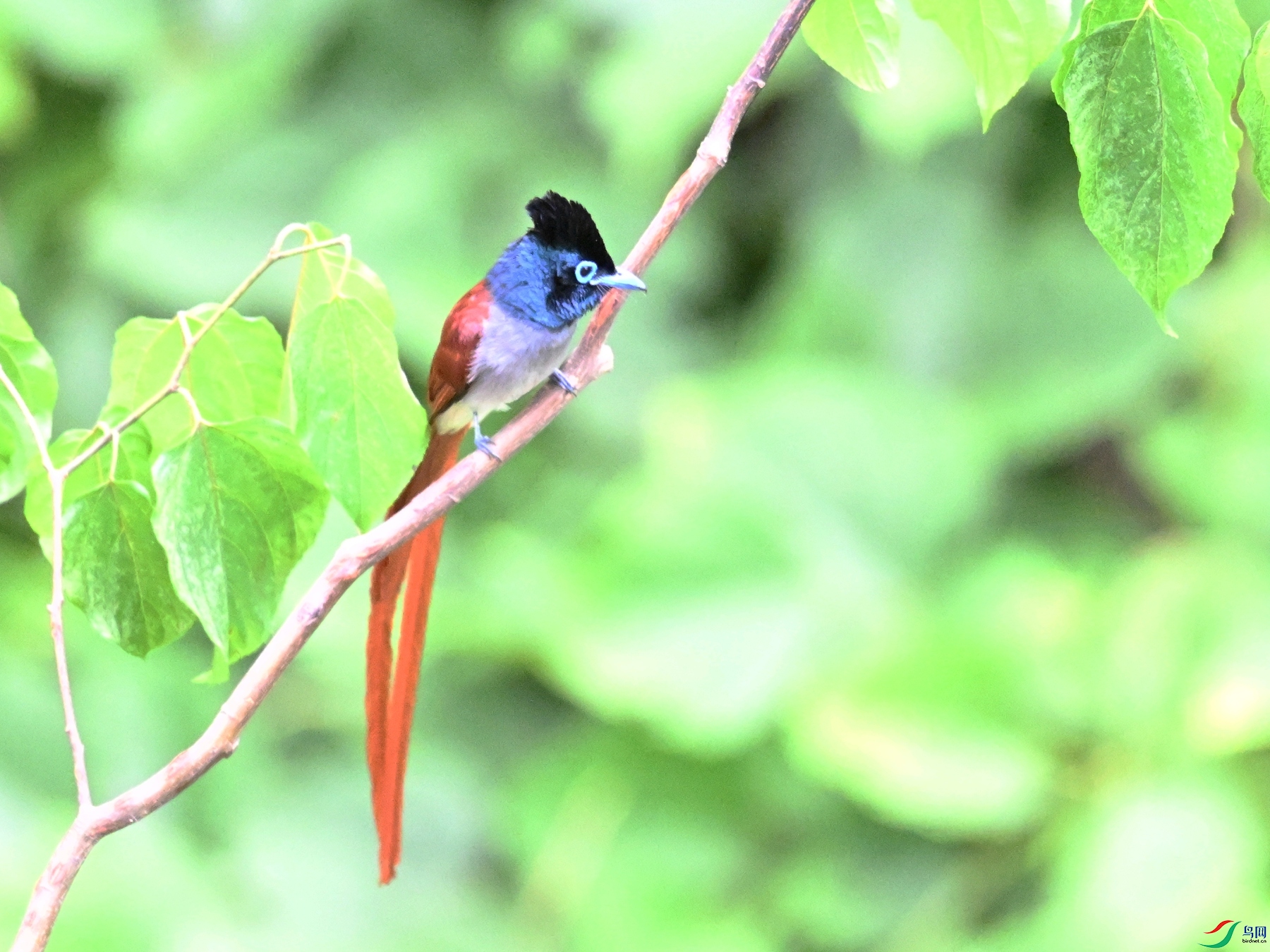 DSC_7350.JPG