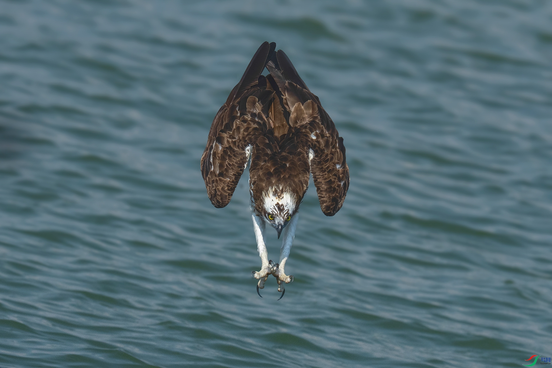 ���ʸ���