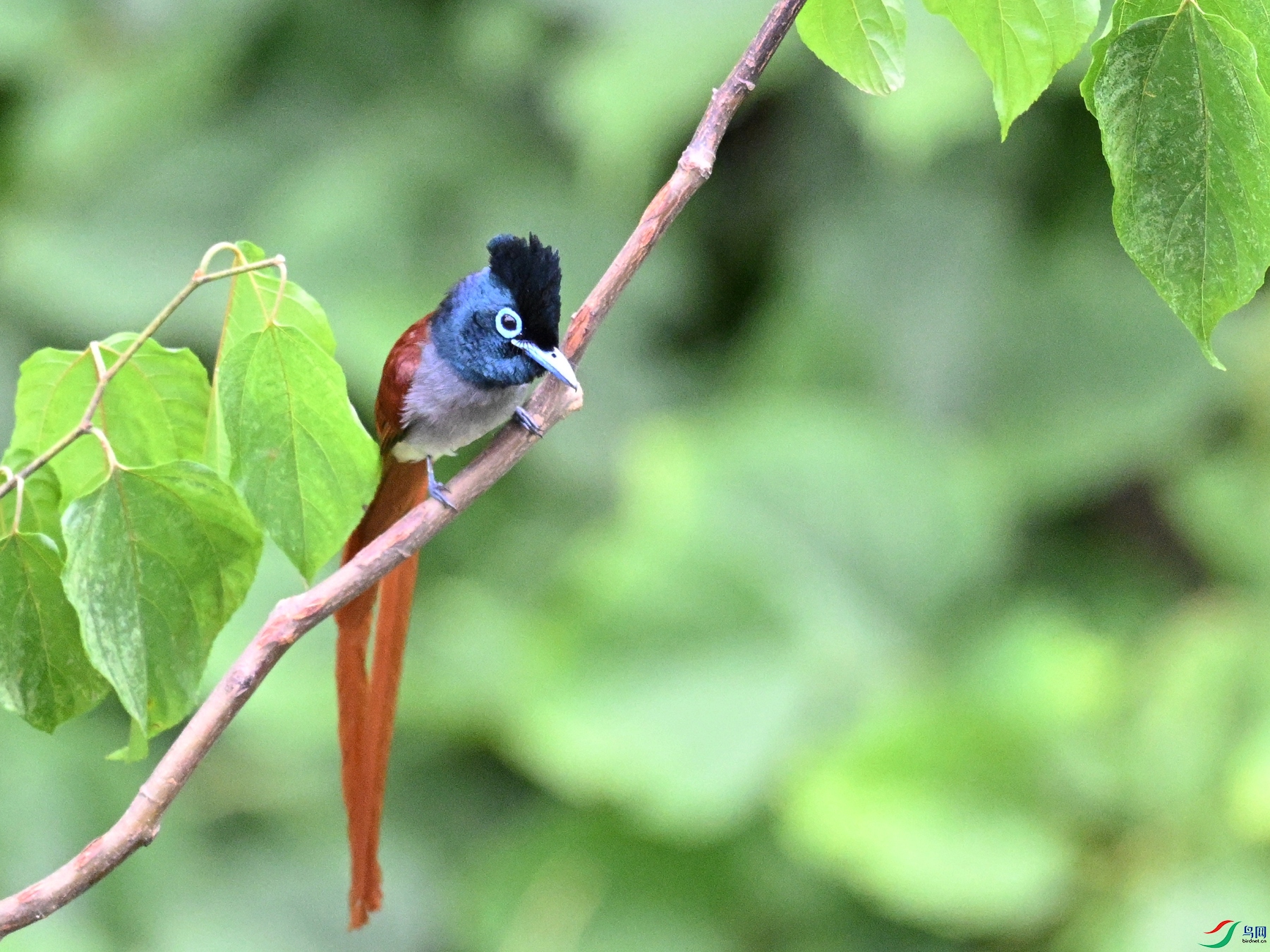 DSC_7345.JPG