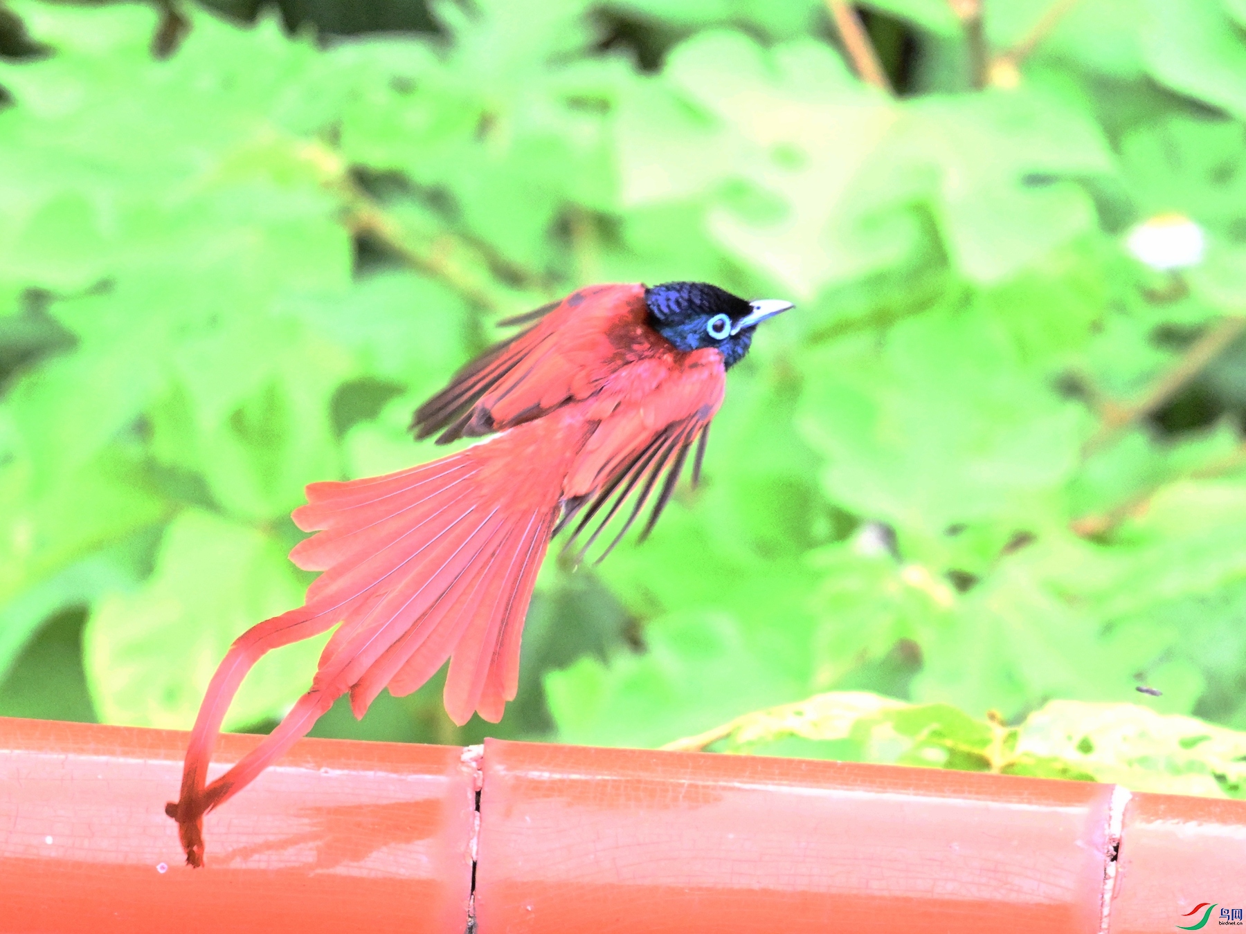 DSC_7248.JPG