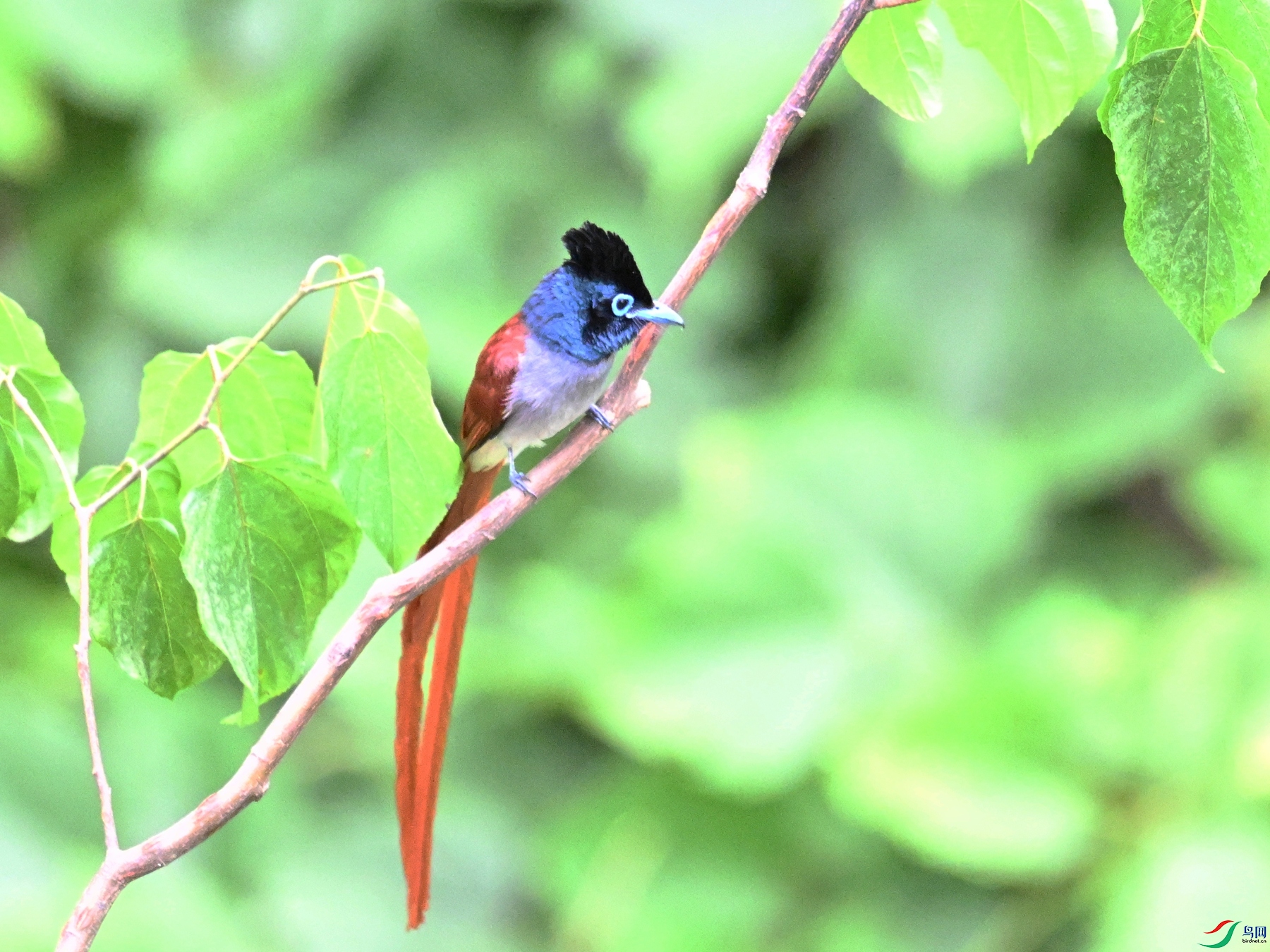 DSC_7353.JPG