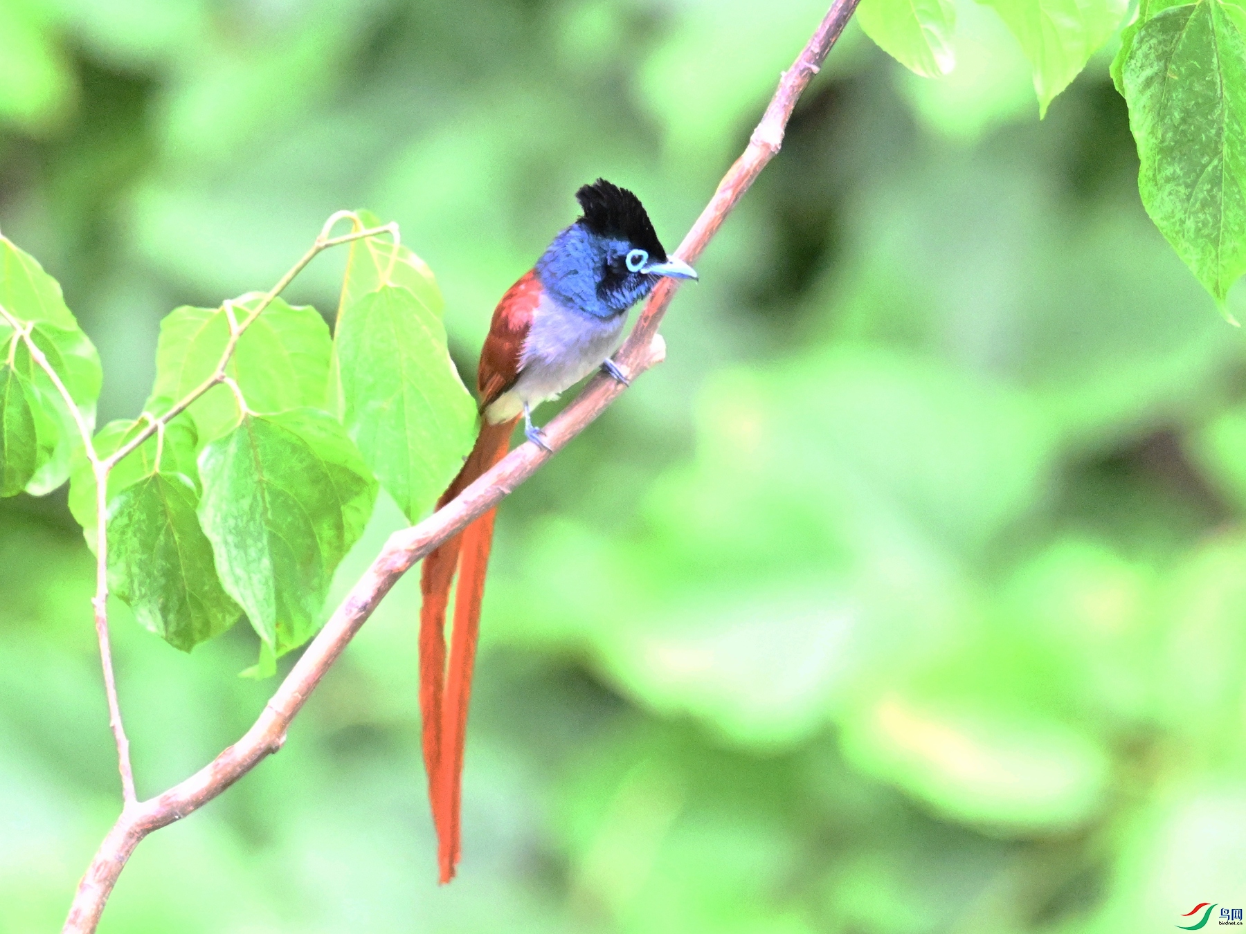 DSC_7347.JPG