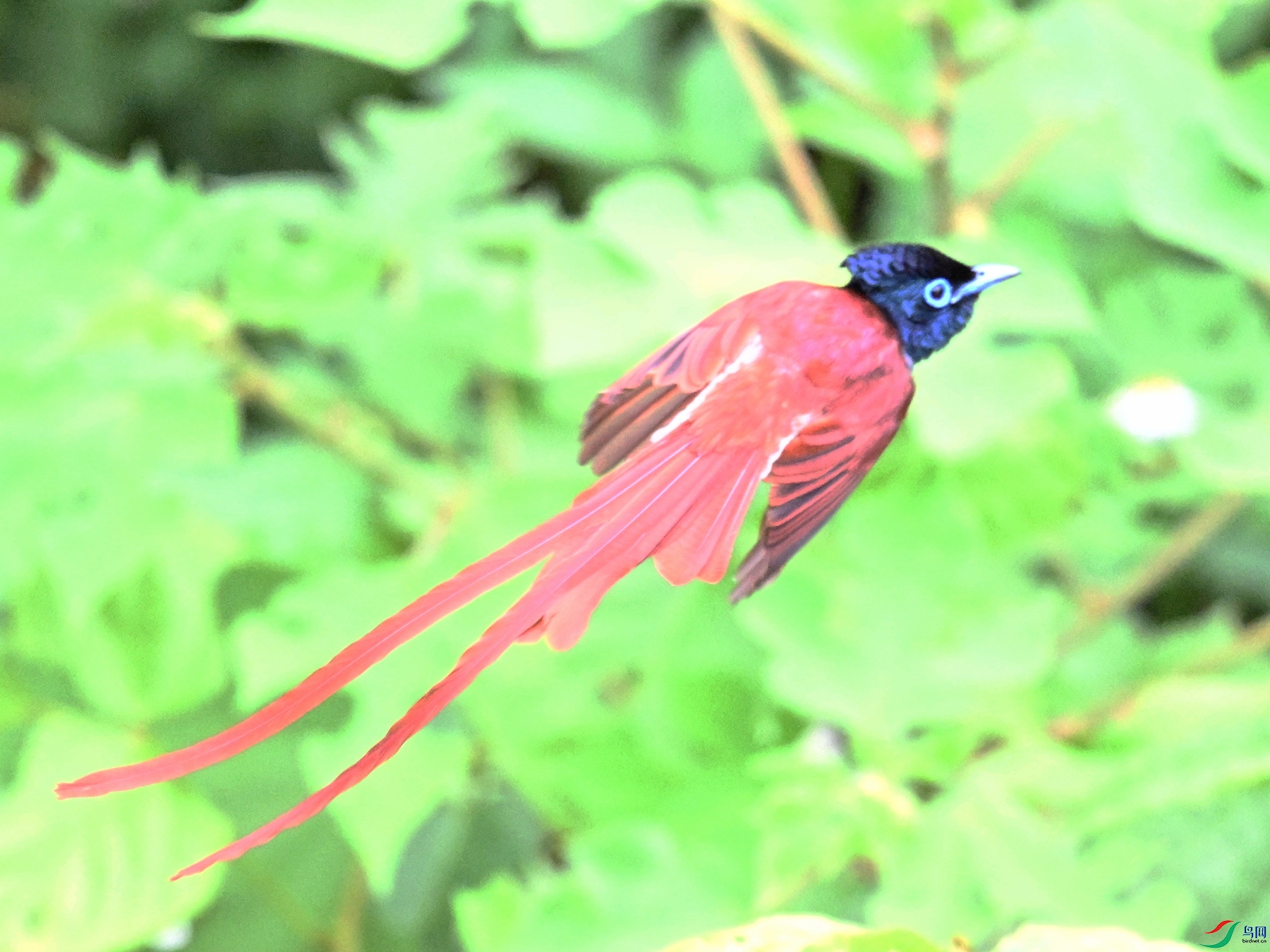 DSC_7251.JPG