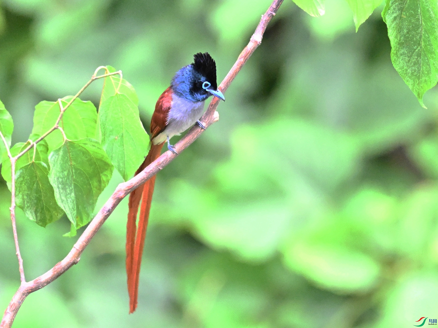 DSC_7358.JPG