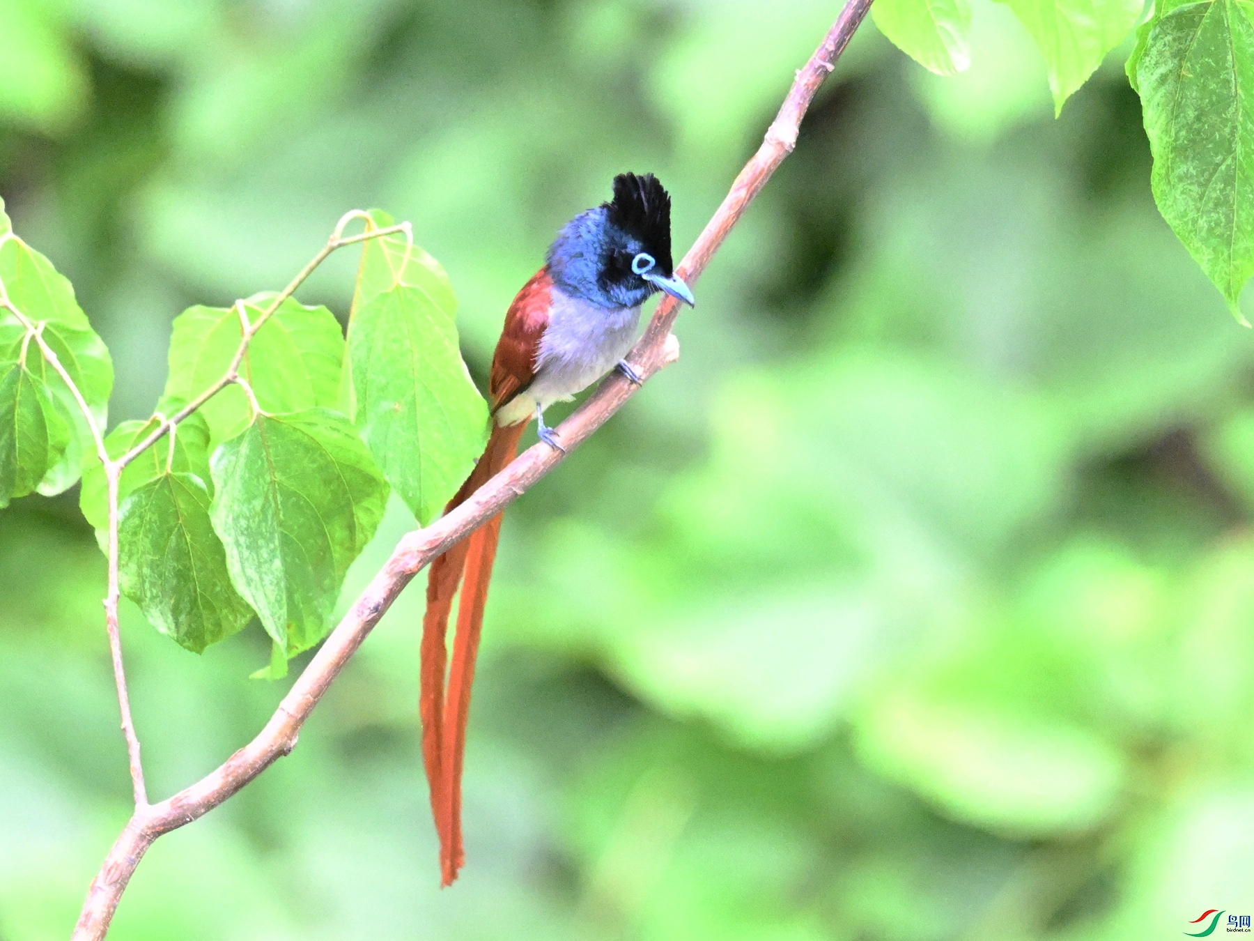 DSC_7356.JPG