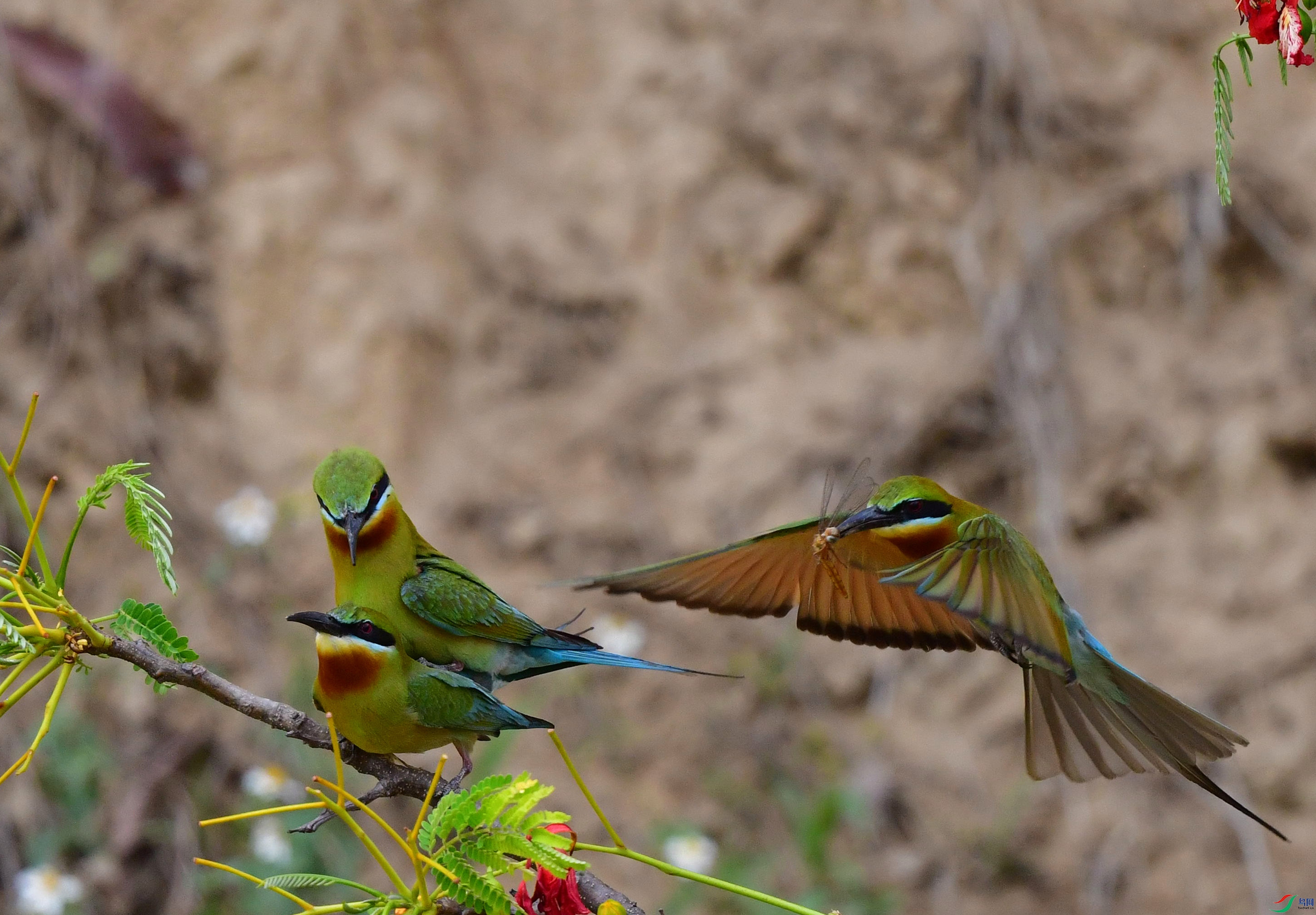 DSC_3846_��ͼ��_����.jpg