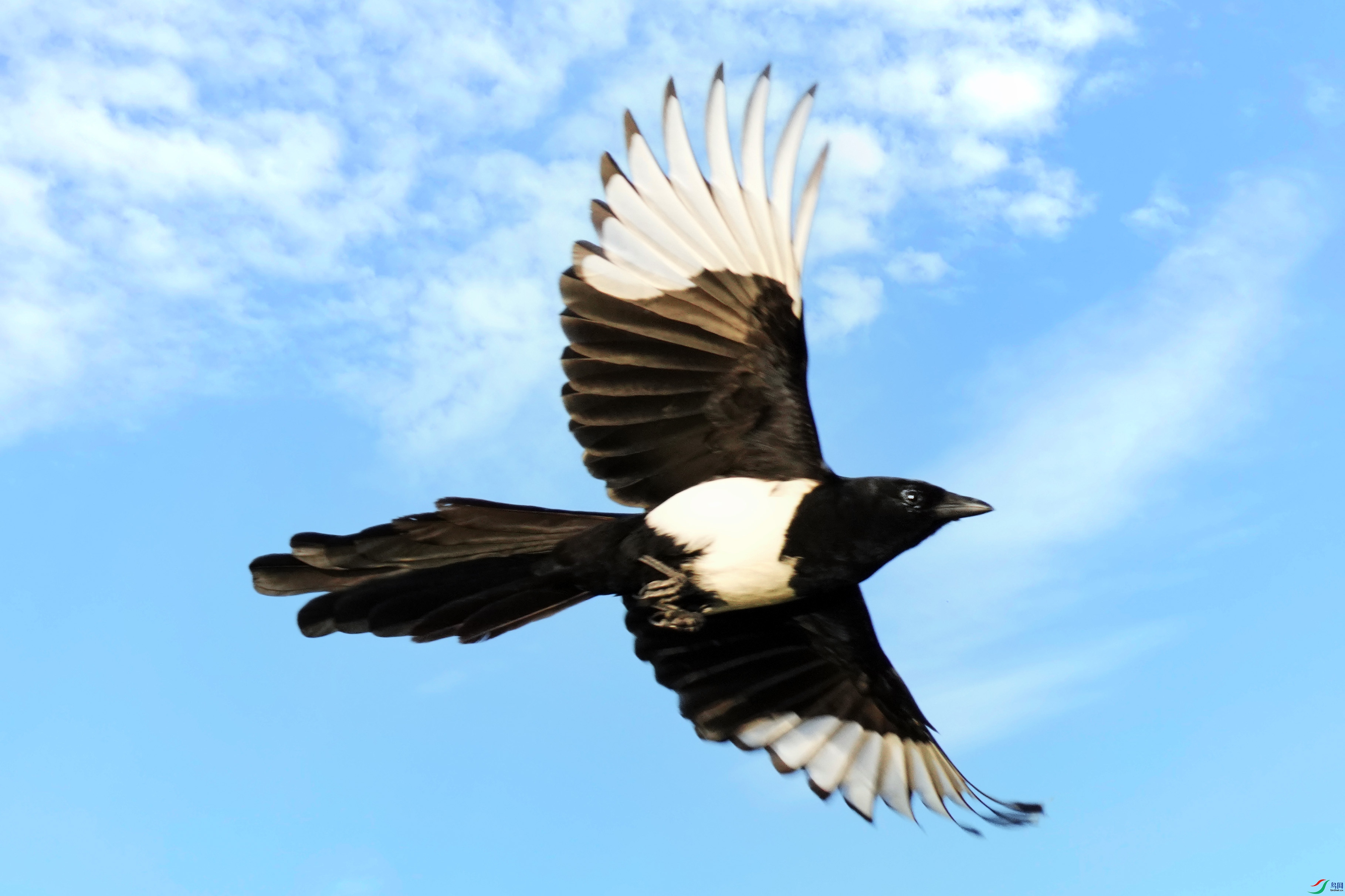 071DSC07425 ����2.jpg