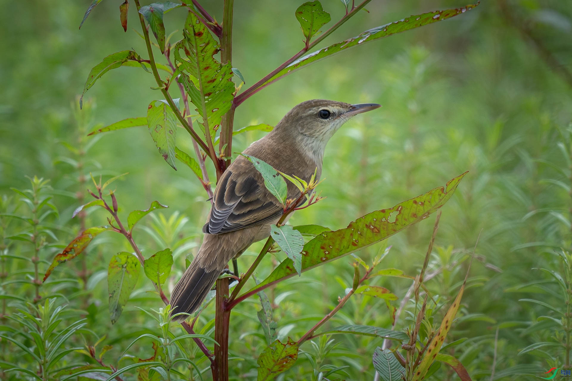 DSC_3069.jpg