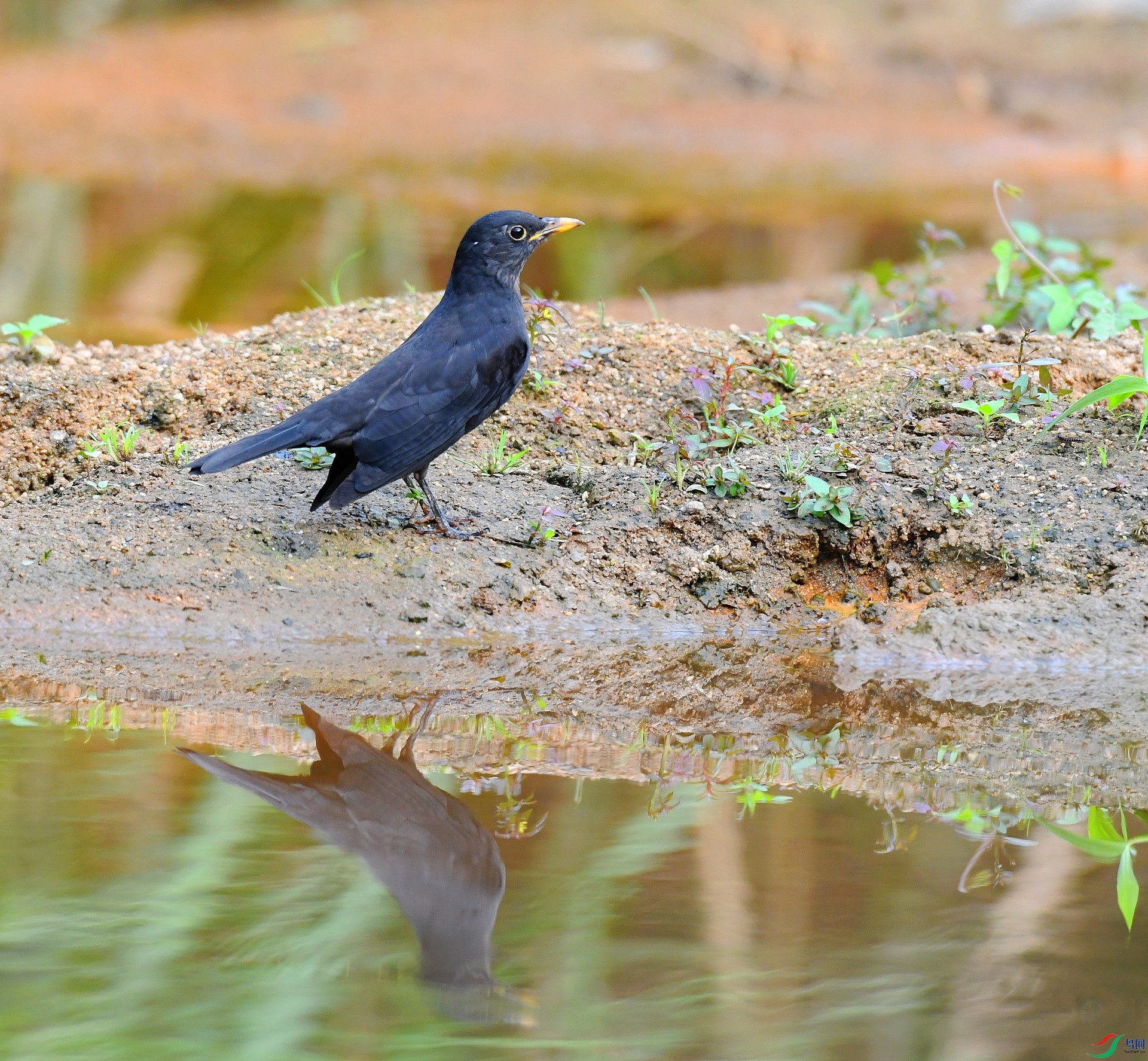 DSC_8030.jpg