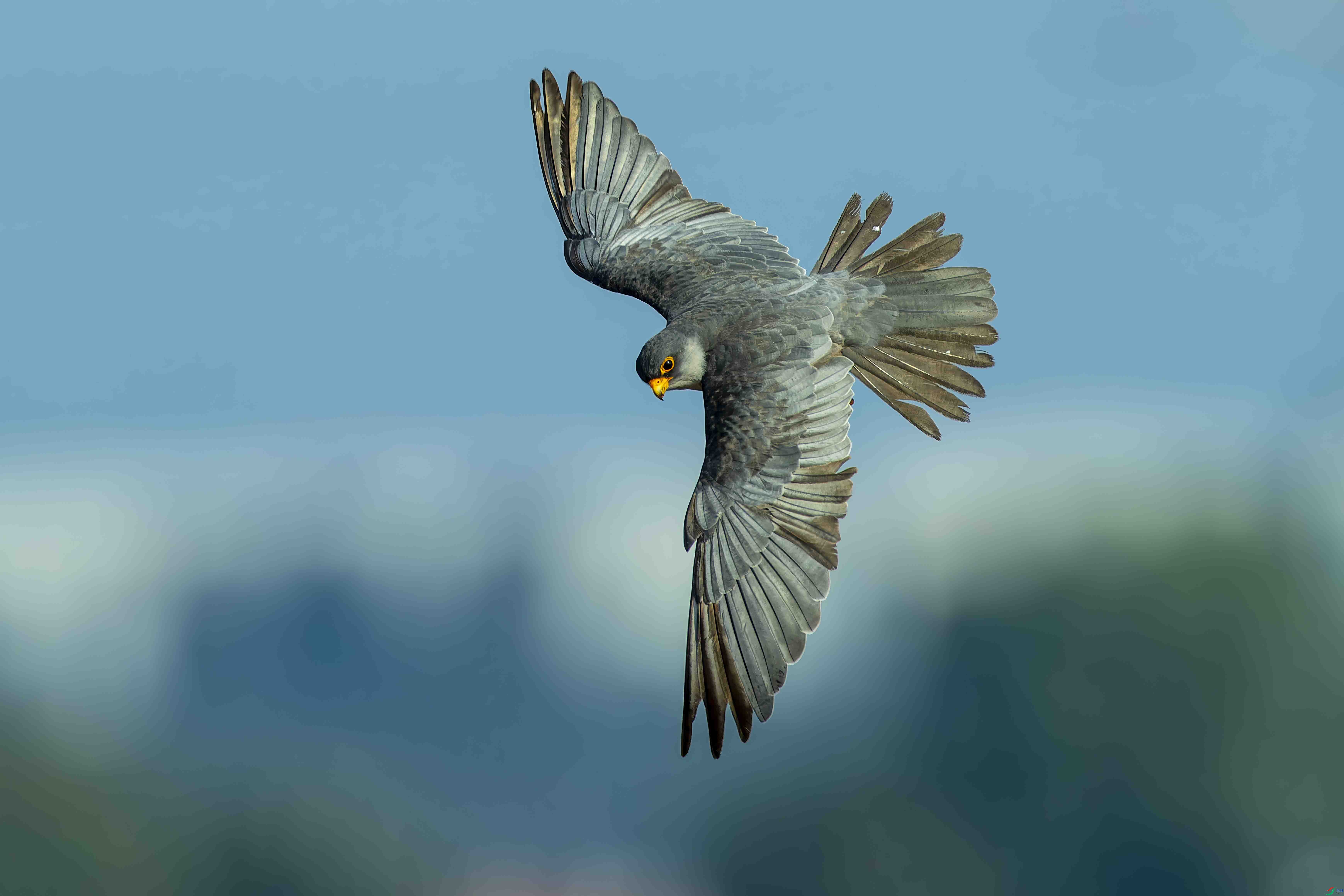 ���л�����