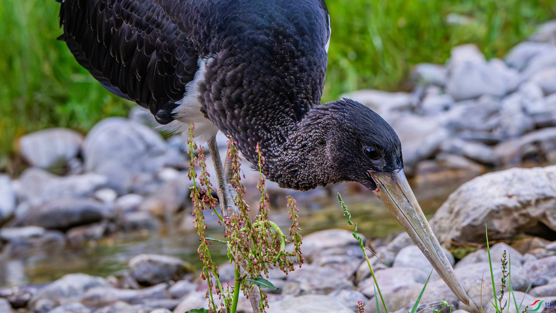 _DSC0205 ����_����.jpg