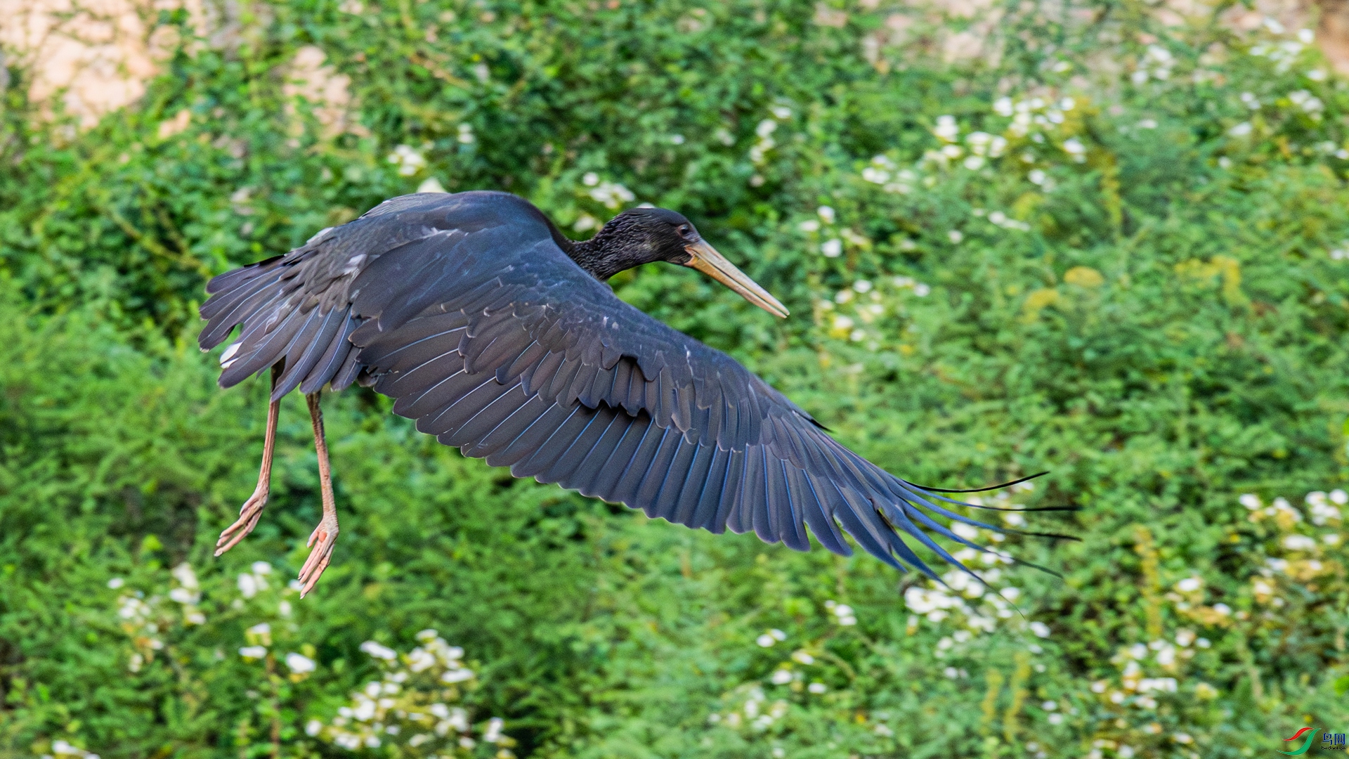 _DSC3689 ����_����.jpg