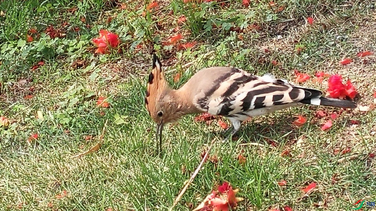IMG_20180526_135706.jpg