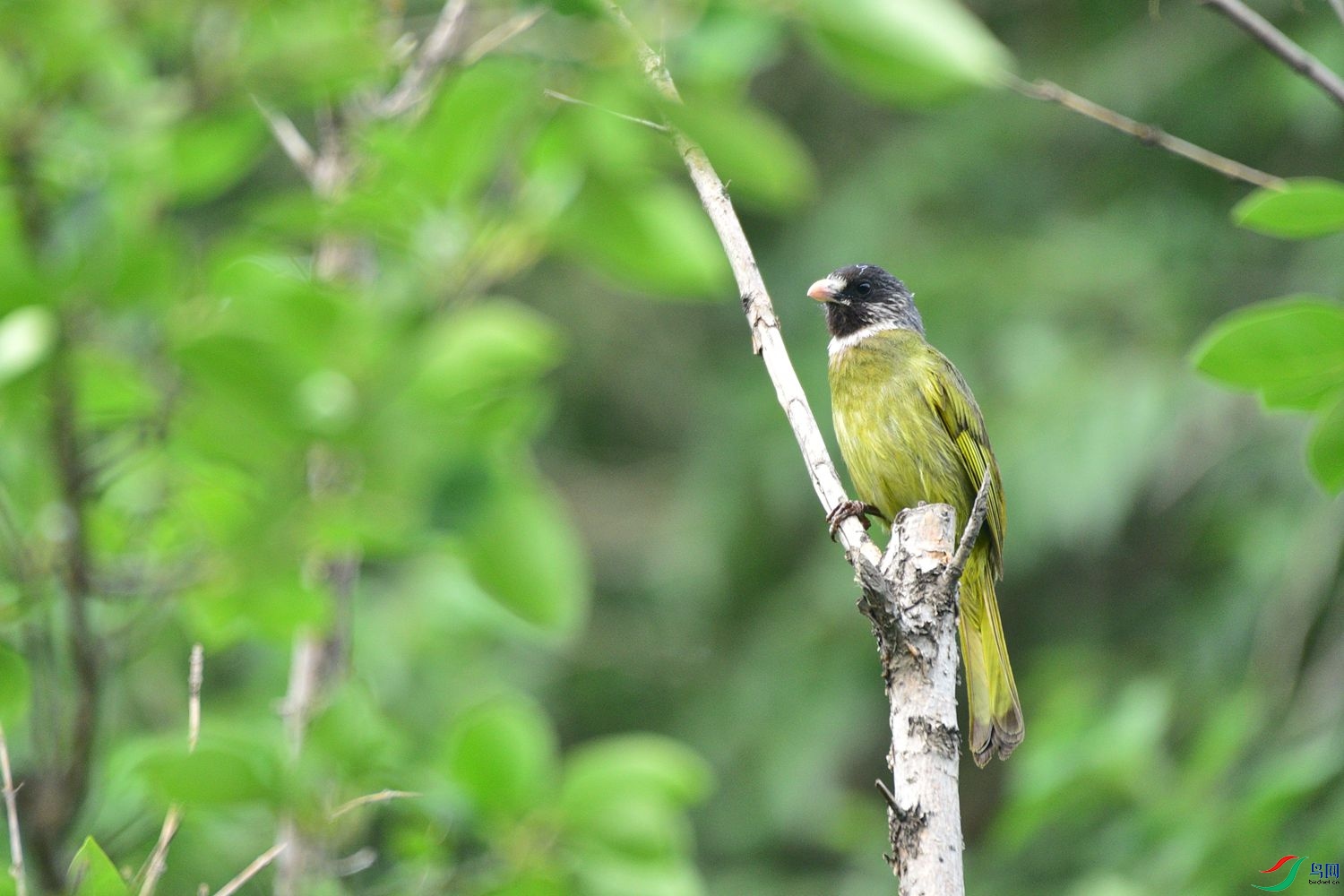 DSC_8487.JPG