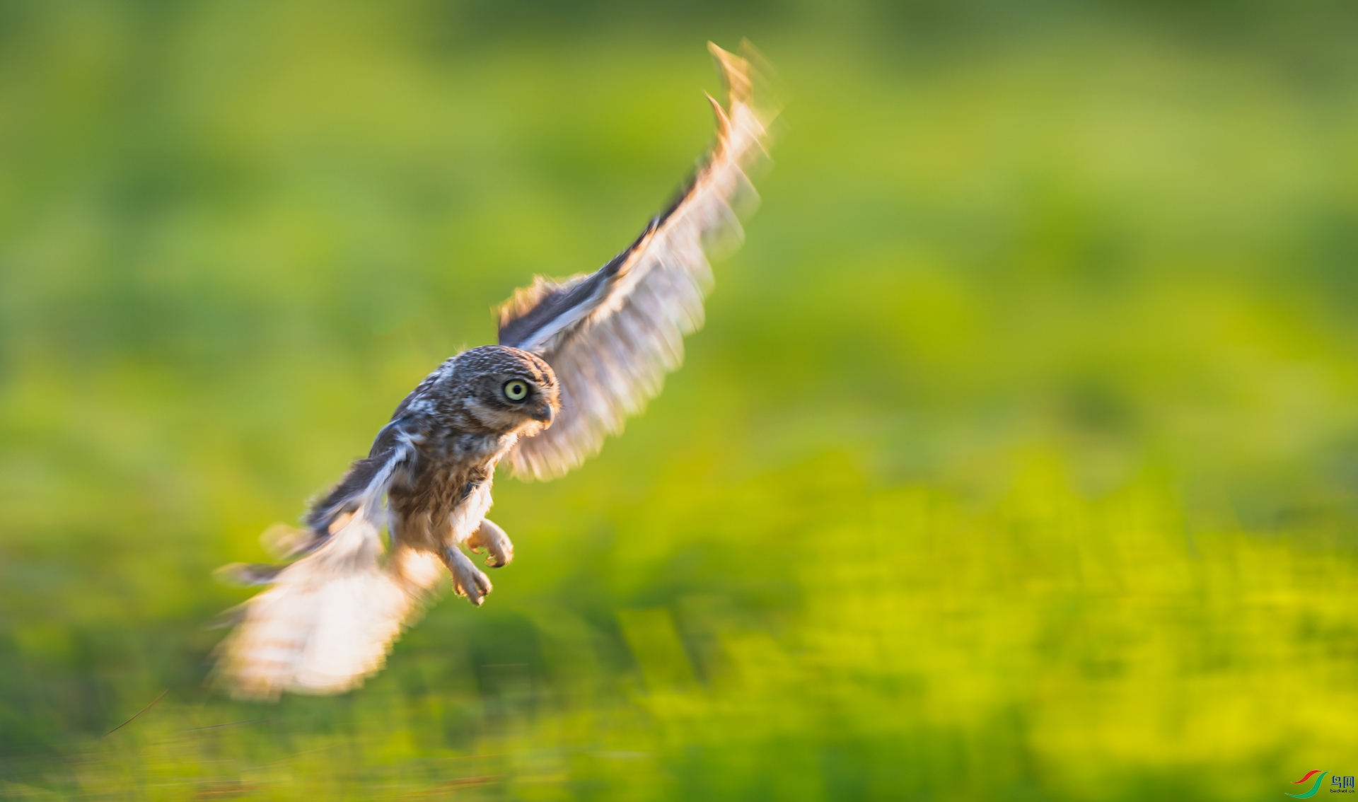 ���Ƹ�С�^