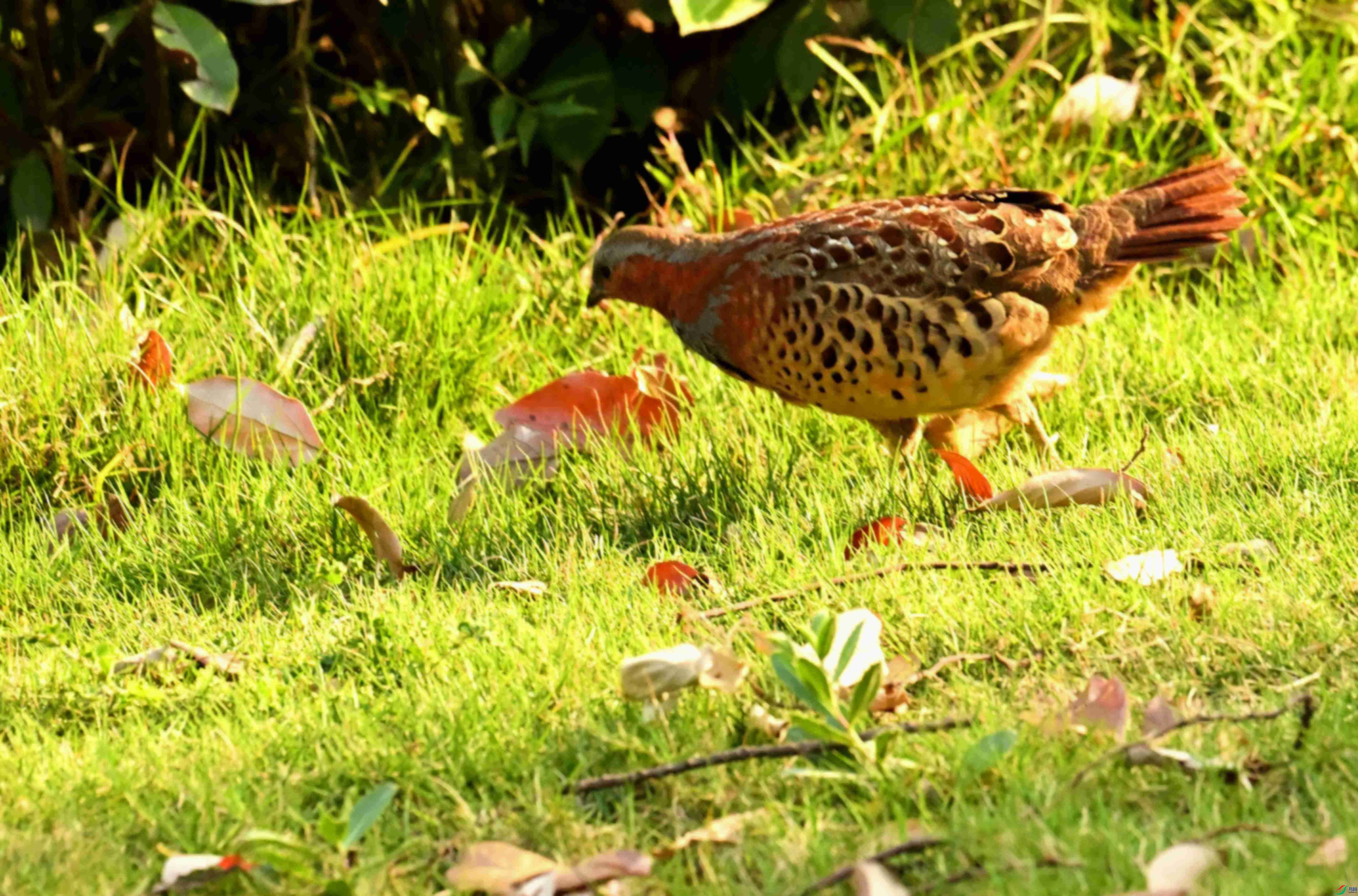 DSC_1673.JPG