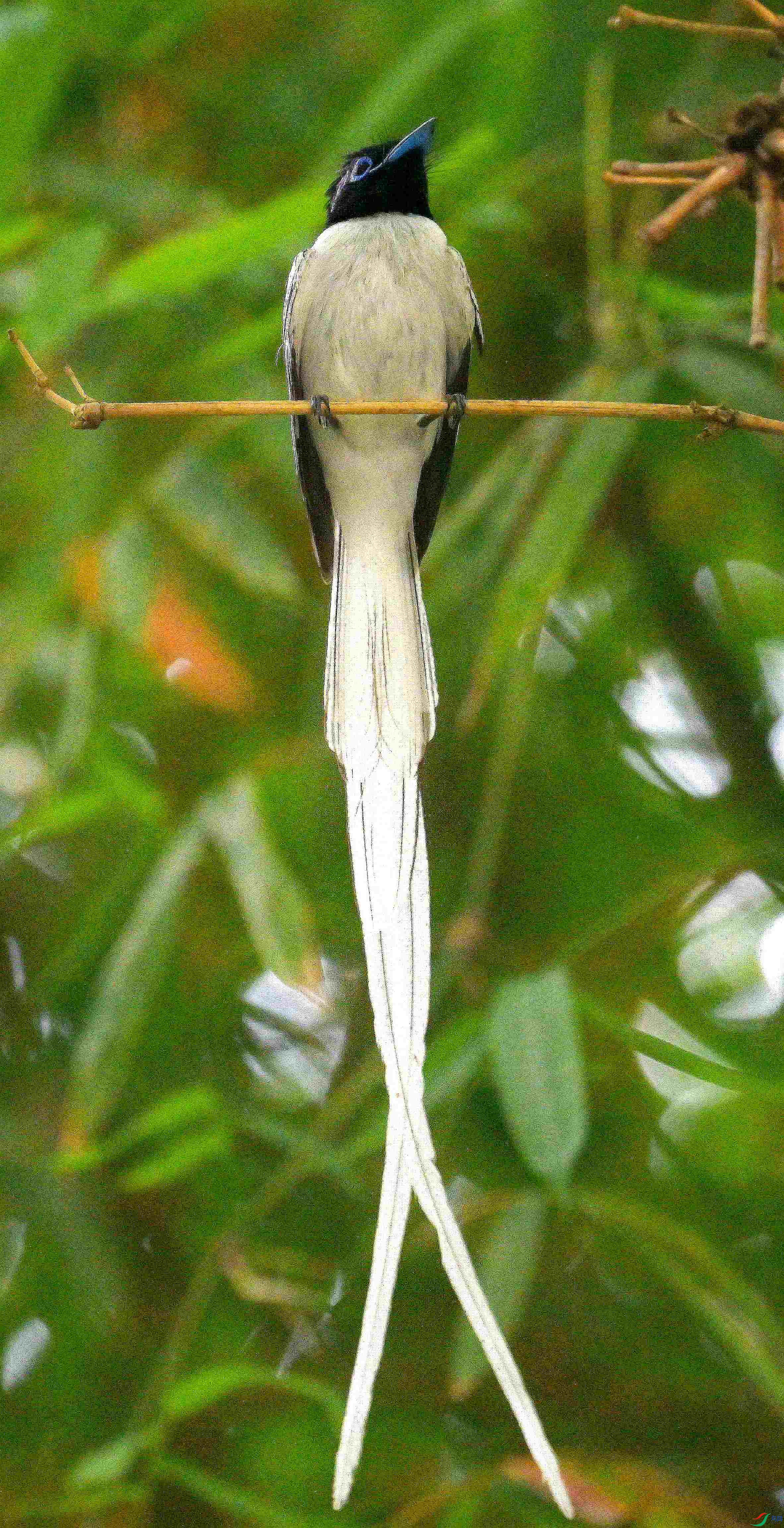 DSC_4061.jpg