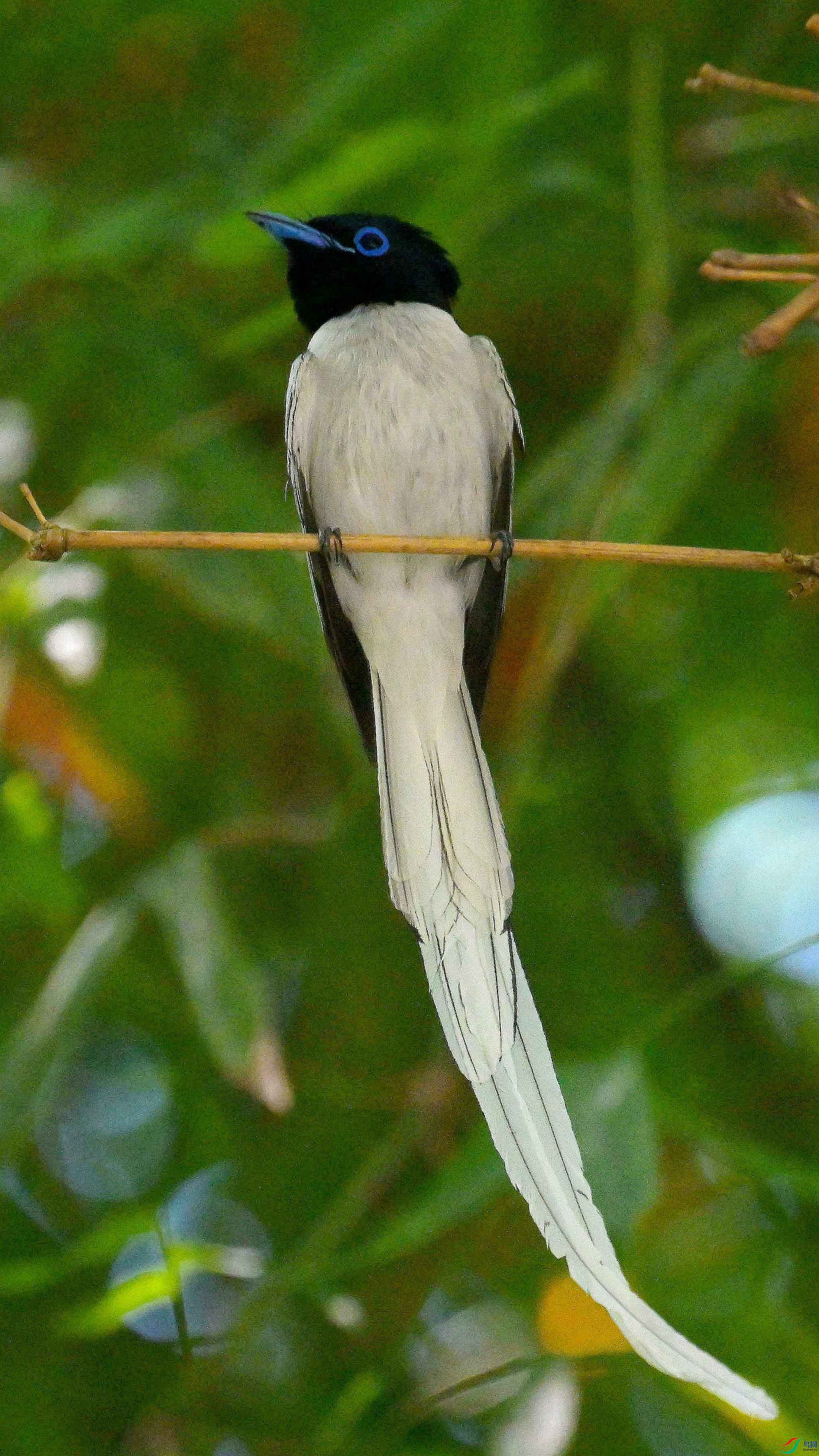 DSC_4980.jpg