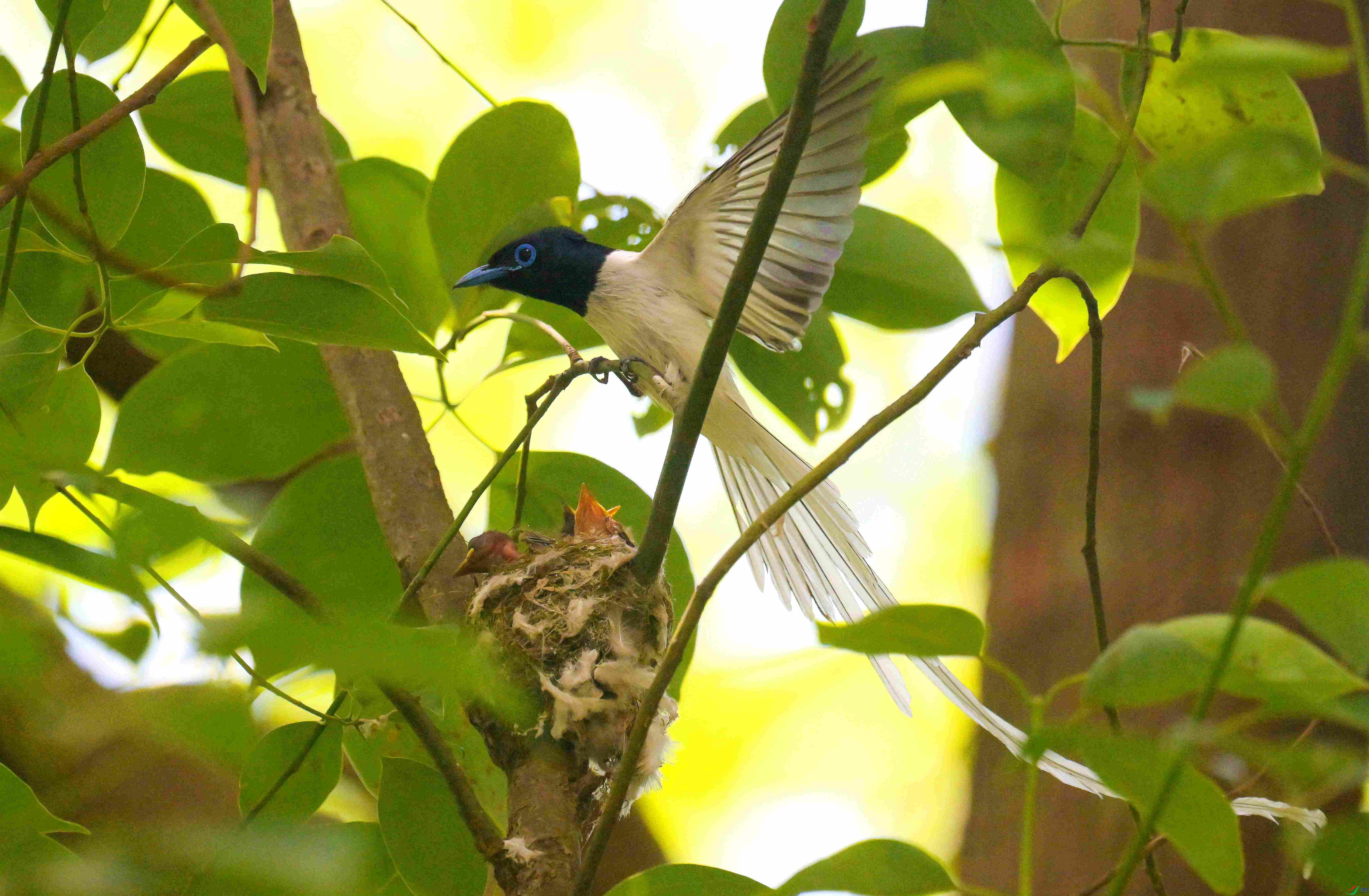 DSC_6612.jpg
