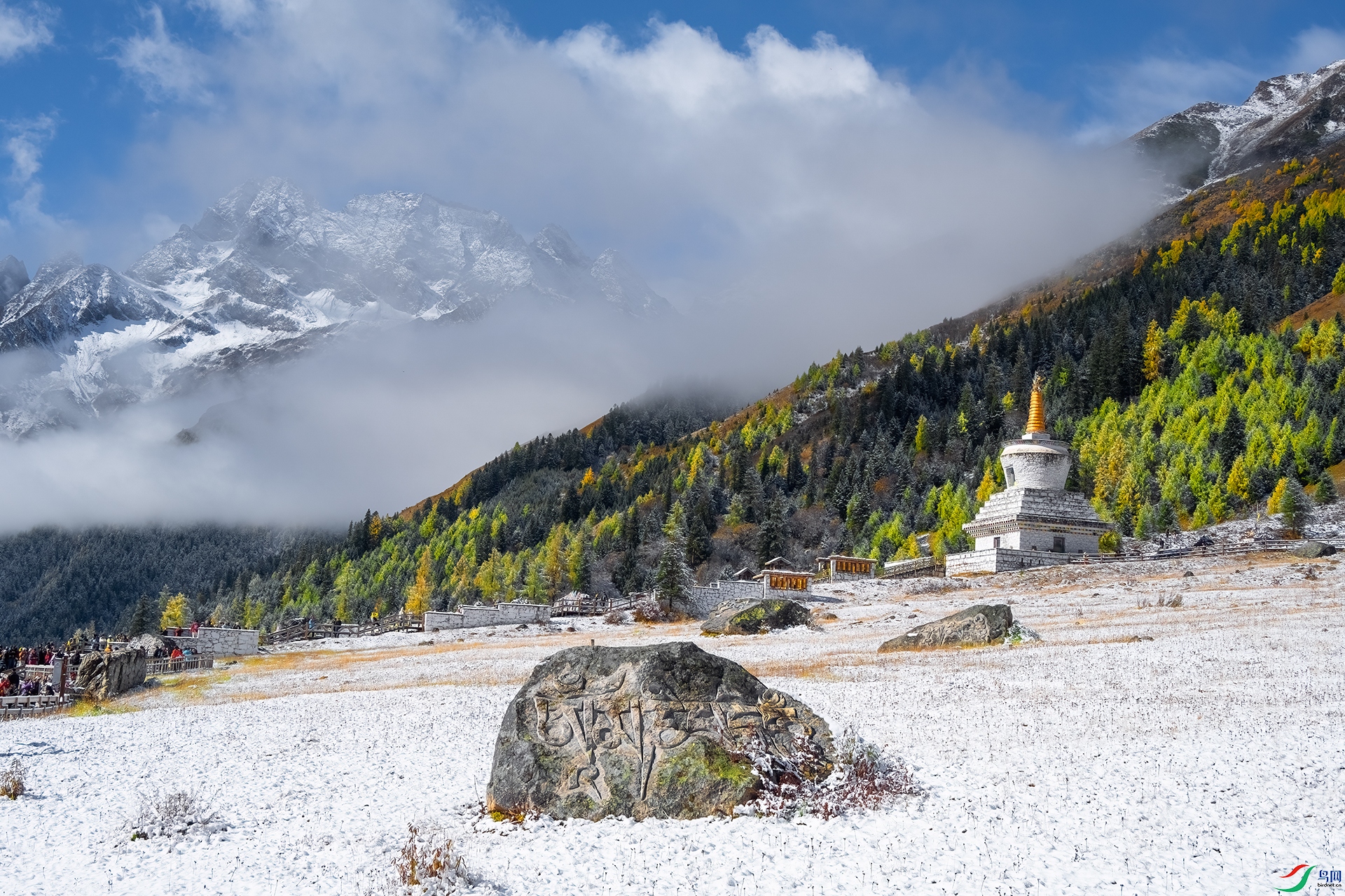 DSC_6525 - ��������AAA.jpg