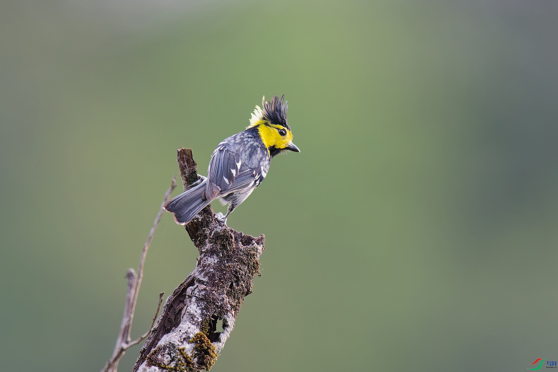 DSC_0466_DxO_DxOa.jpg
