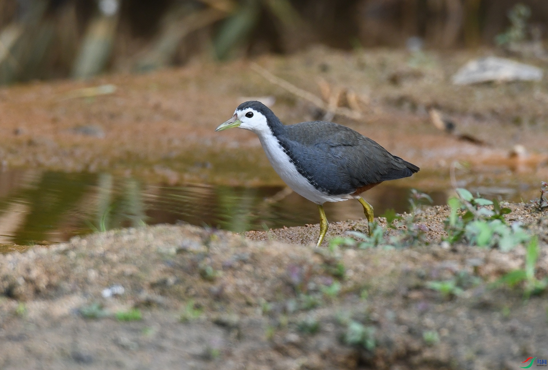 DSC_7997.jpg