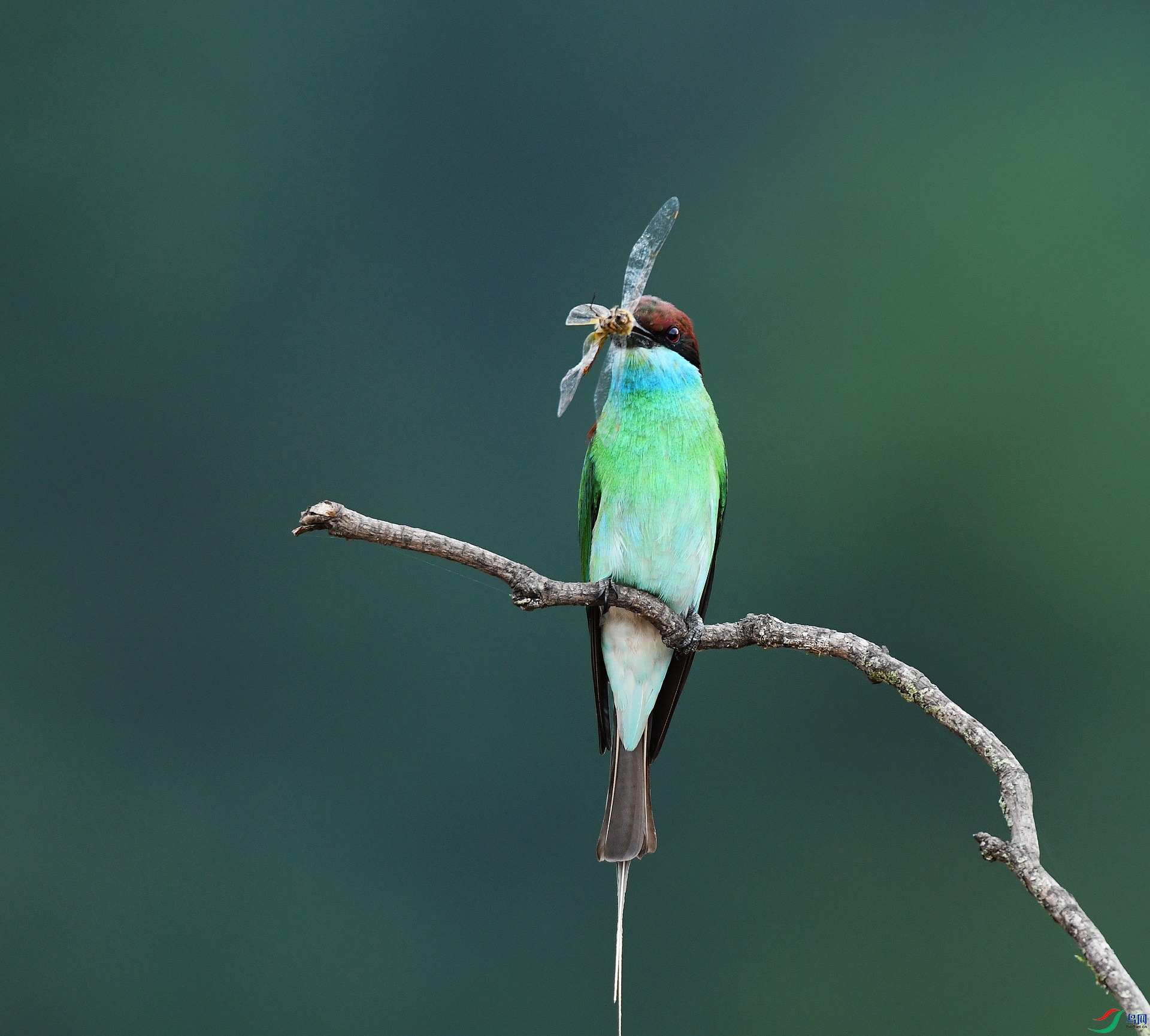 DSC_3543.jpg