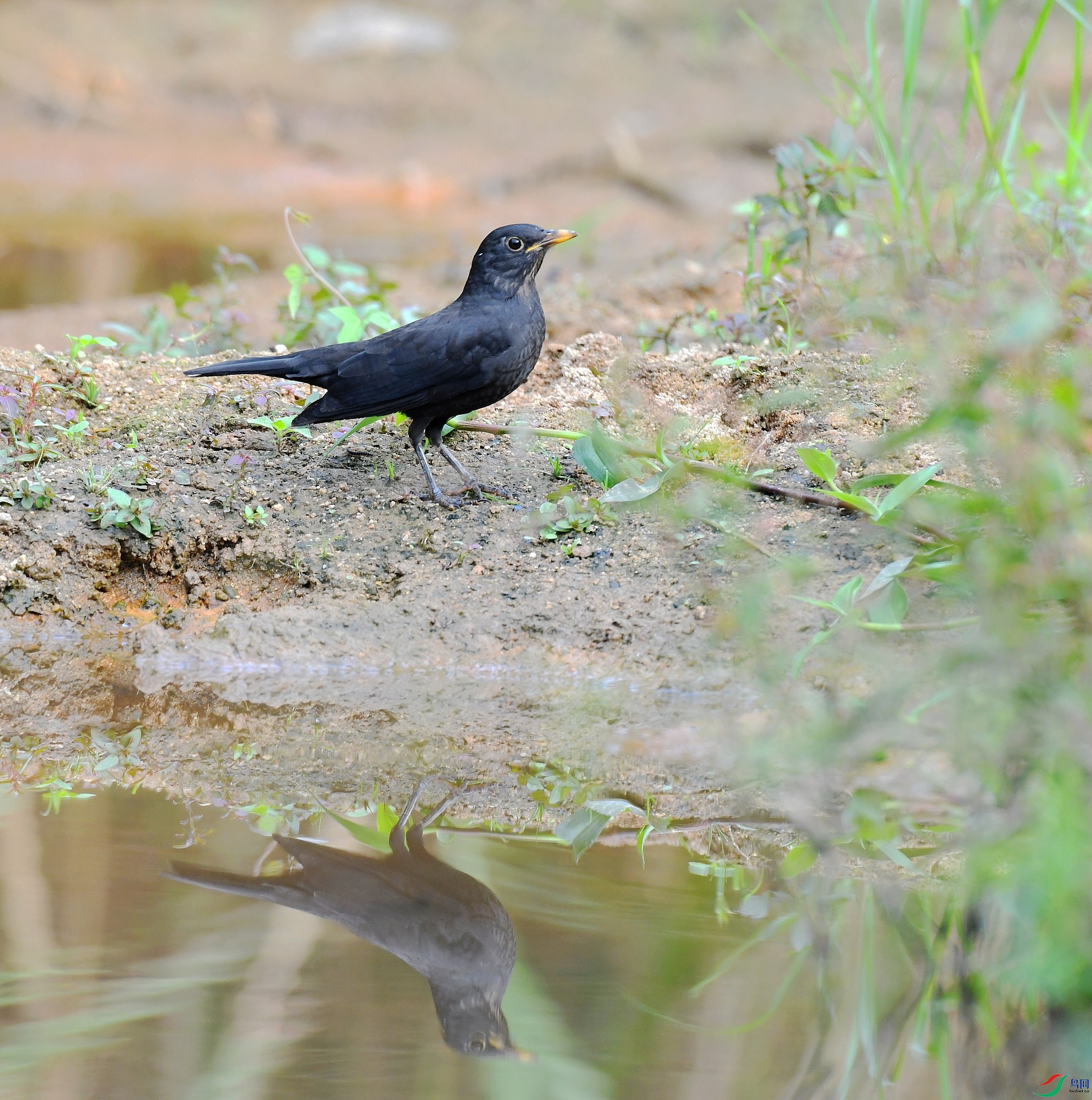 DSC_8034.jpg