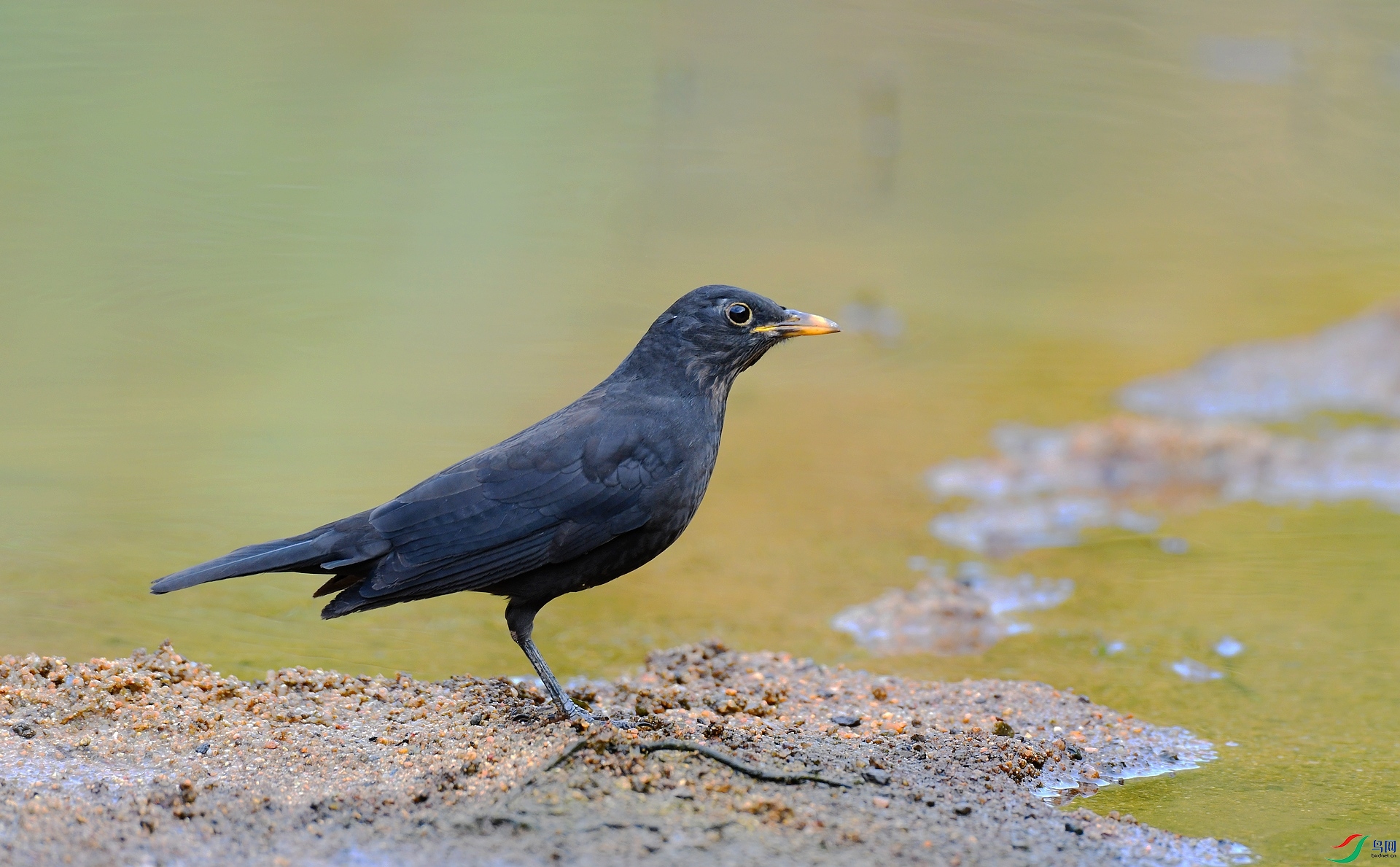 DSC_8067.jpg