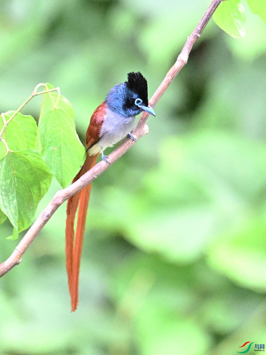 DSC_7362.JPG
