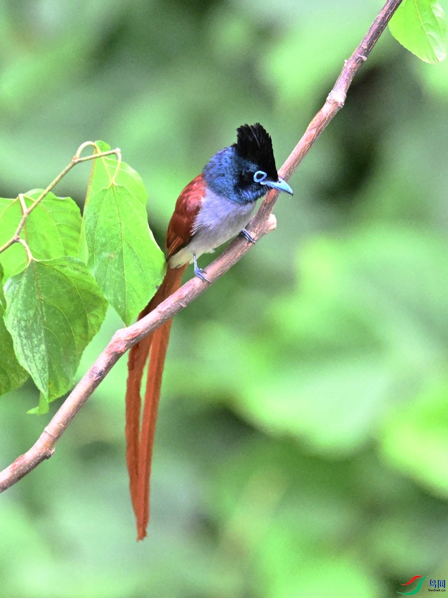DSC_7371.JPG