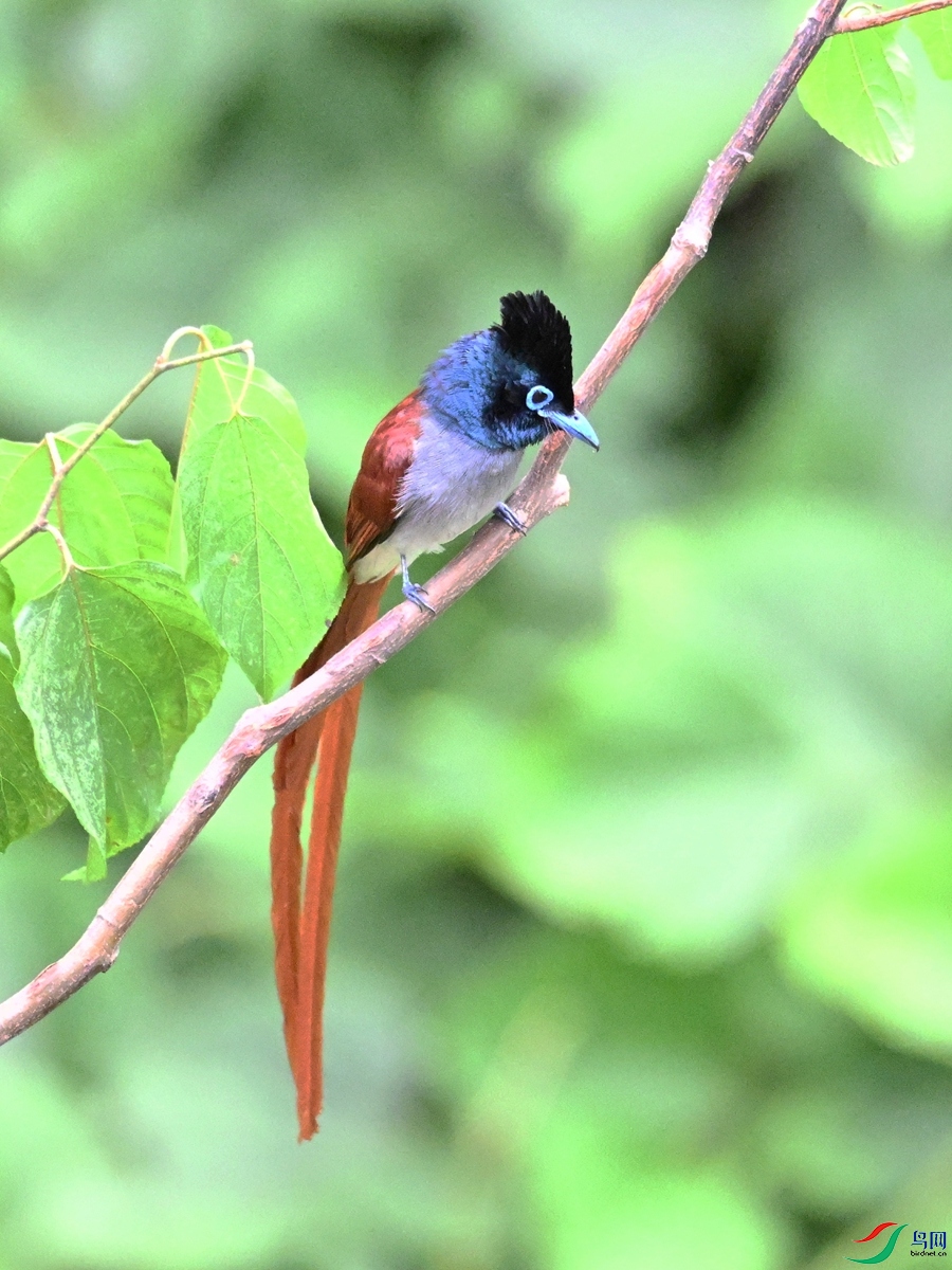 DSC_7367.JPG