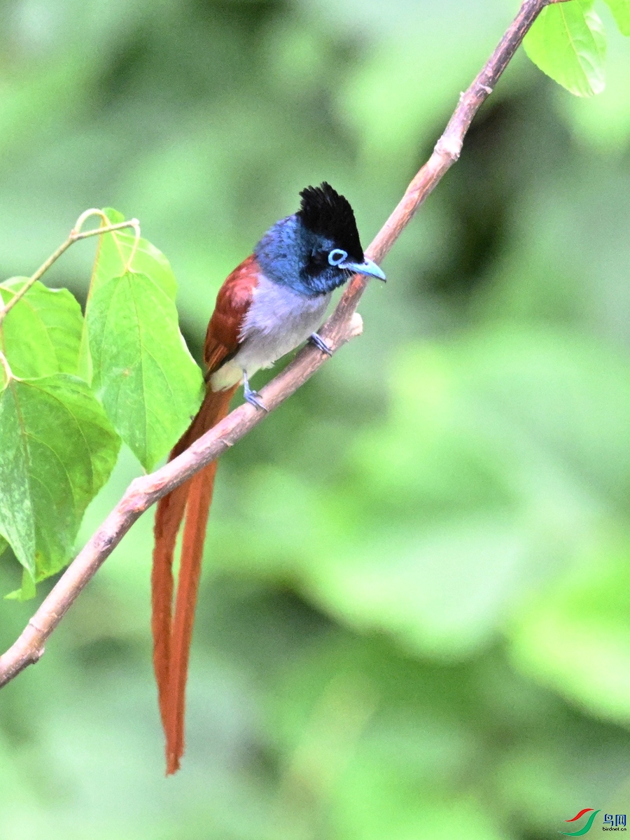 DSC_7381.JPG