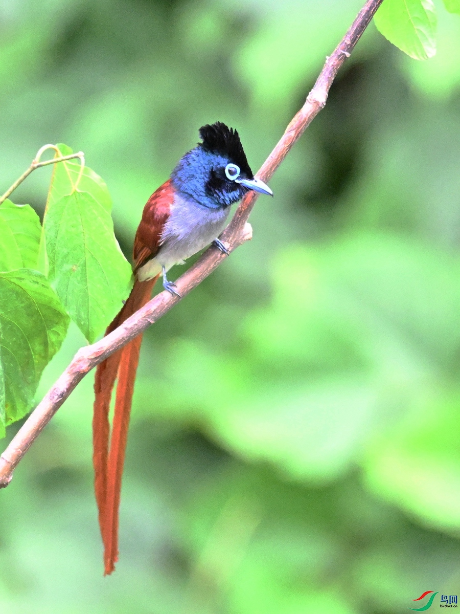 DSC_7386.JPG