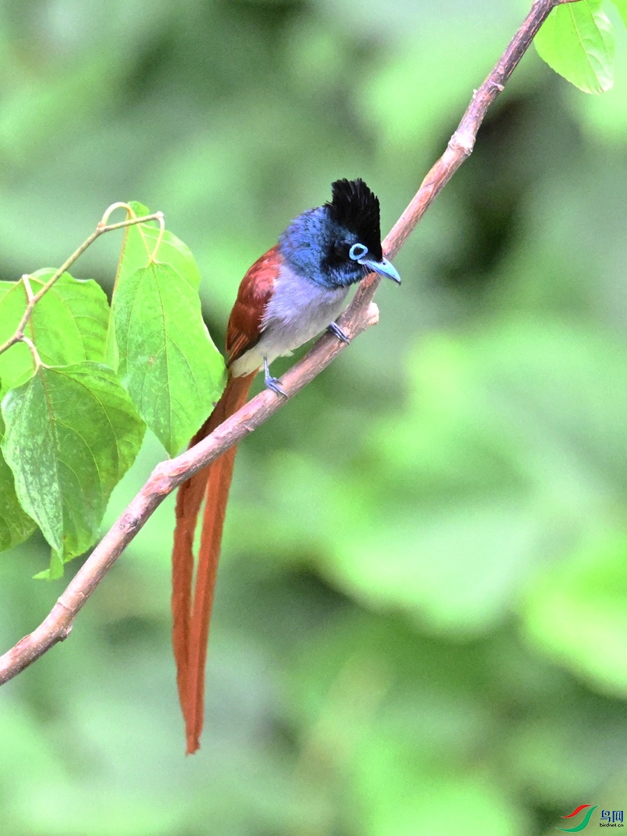 DSC_7370.JPG