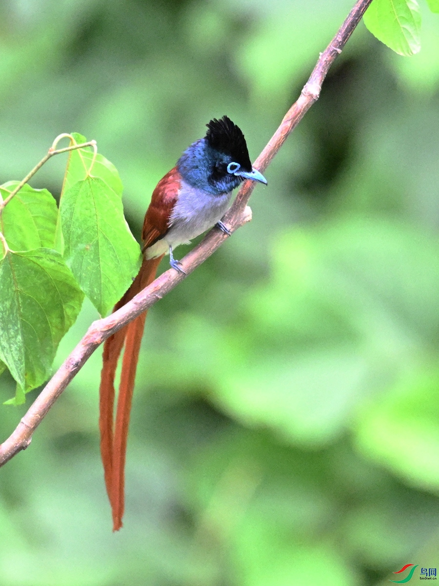 DSC_7372.JPG