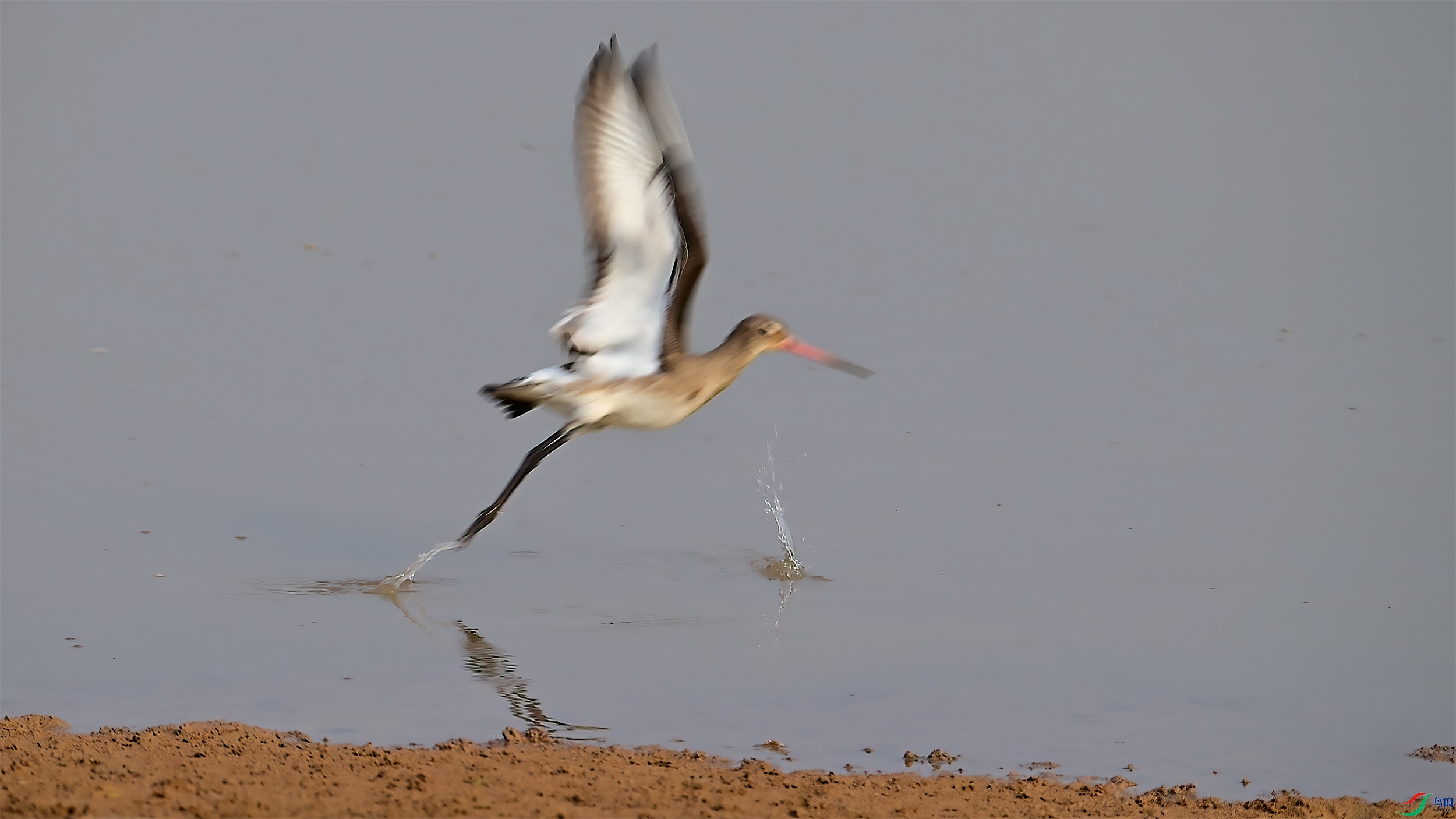 11��4�� (1).jpg