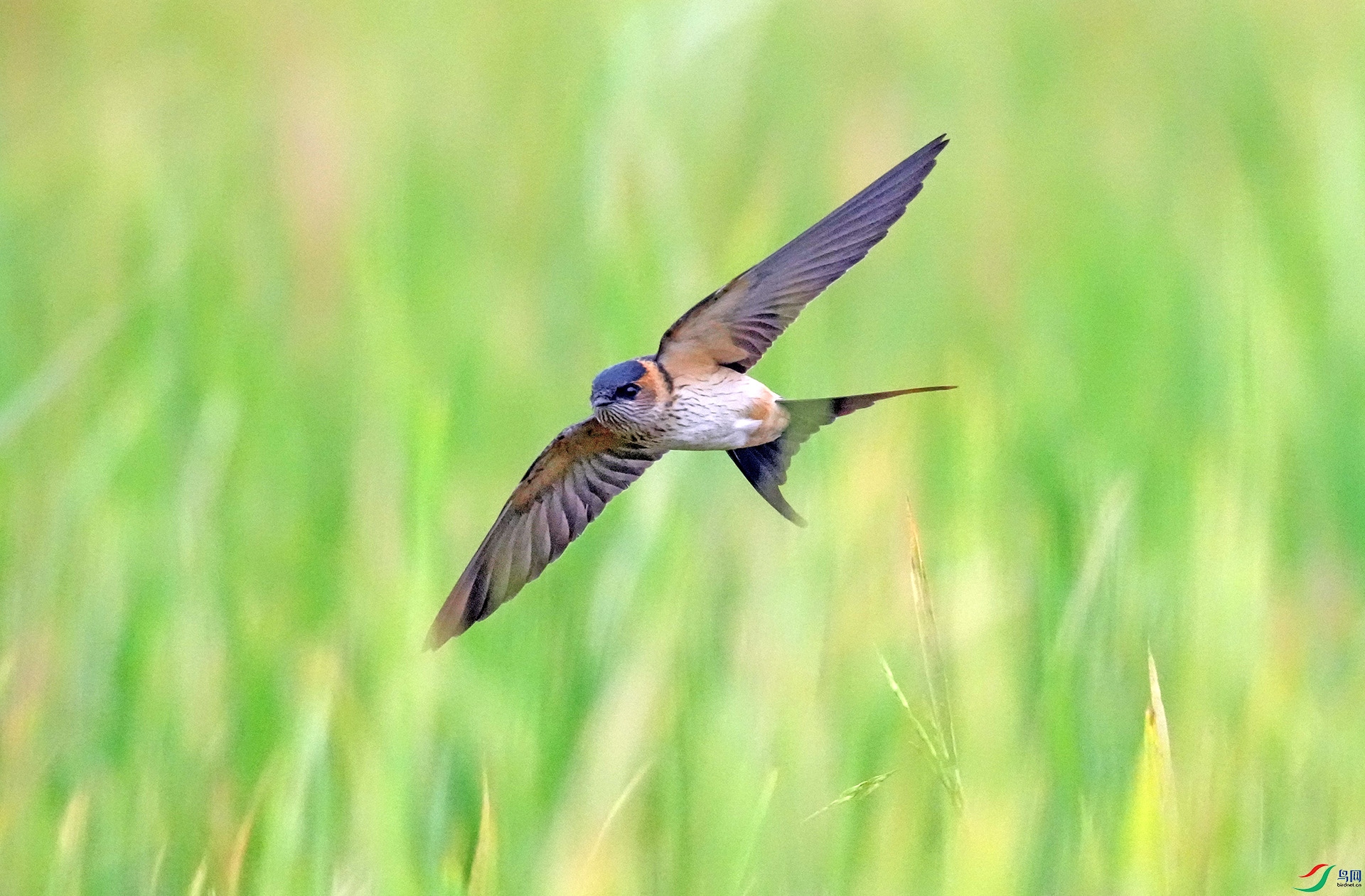 DSC02059AB.jpg