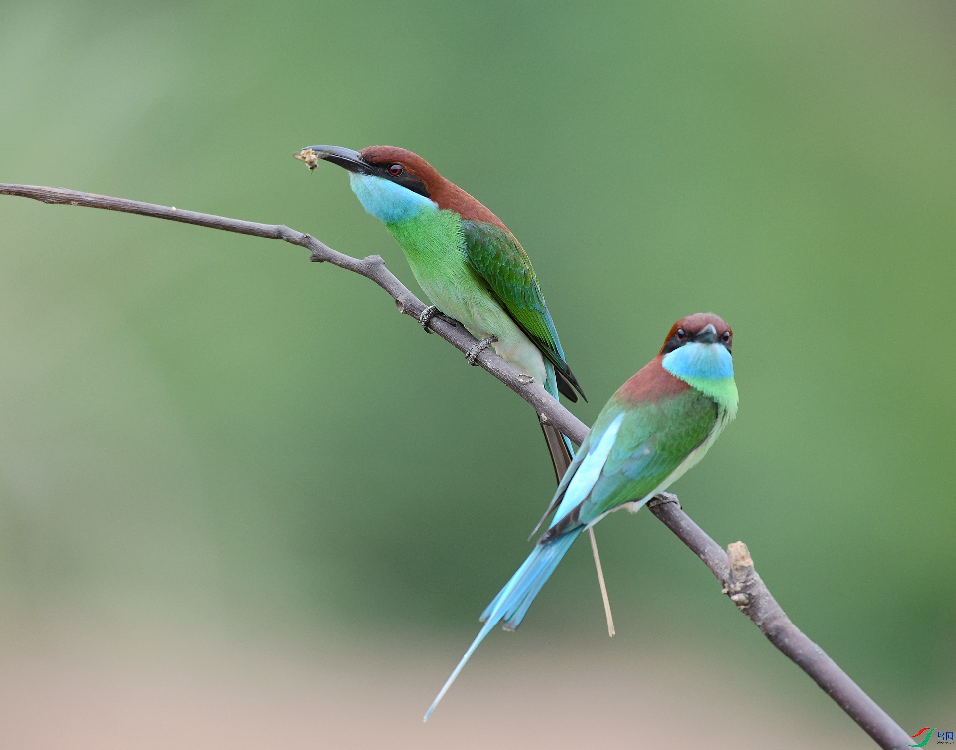 DSC_3154.jpg